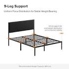 Neilius Upholstered Platform Bed-QB-BLACK