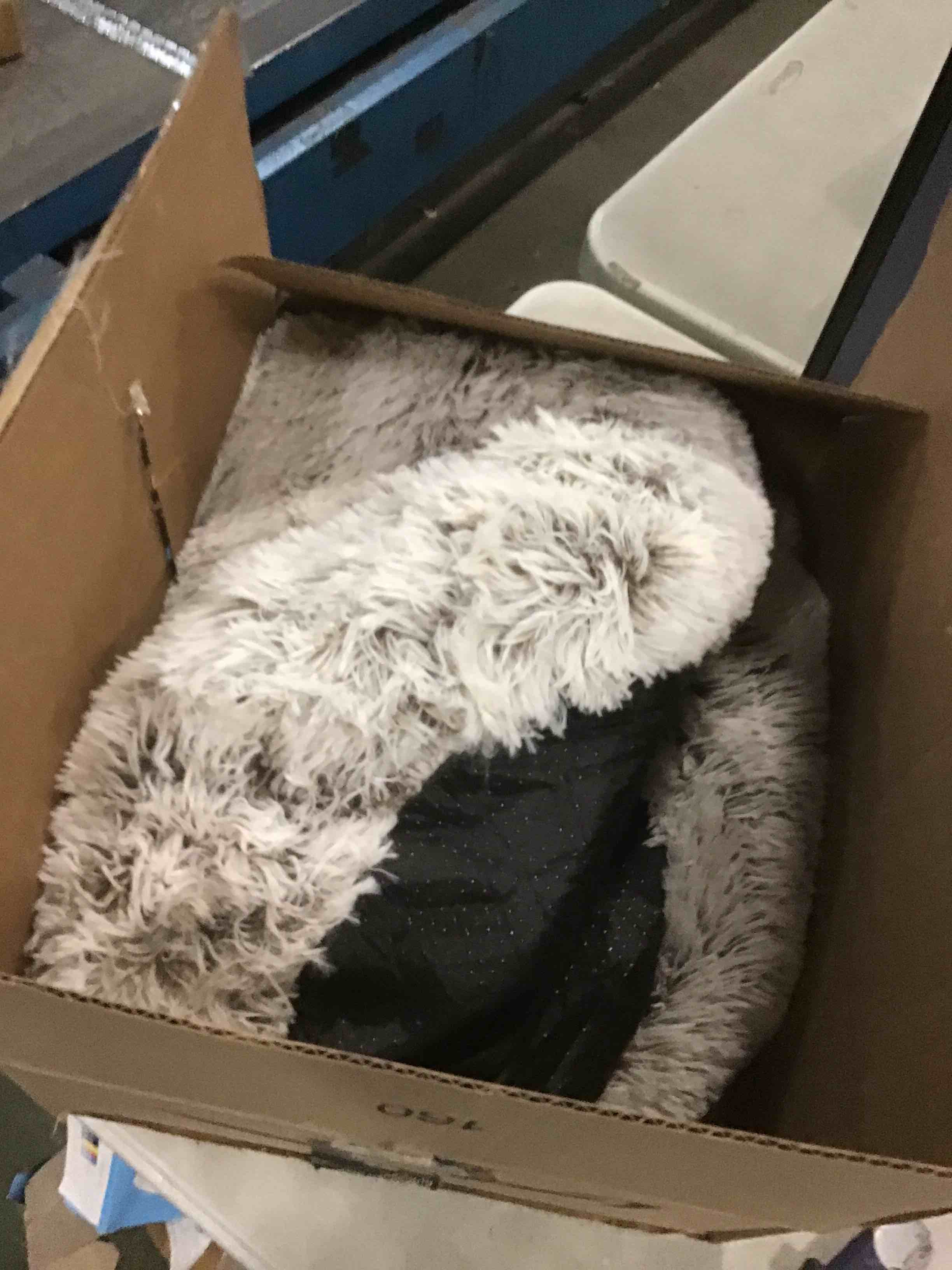 https://s3.amazonaws.com/lotting-images-prod/bidfta/BRN1590854_1734468335405.jpeg
