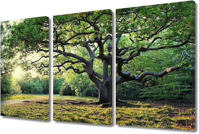 TUMOVO Angel Oak Wall Art Canvas for Home Green Color Tree Pictures 3 ...