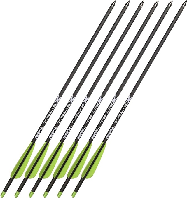 Bear X 6-Pack Truex Crossbow Arrows - 20", ACBK20, Black