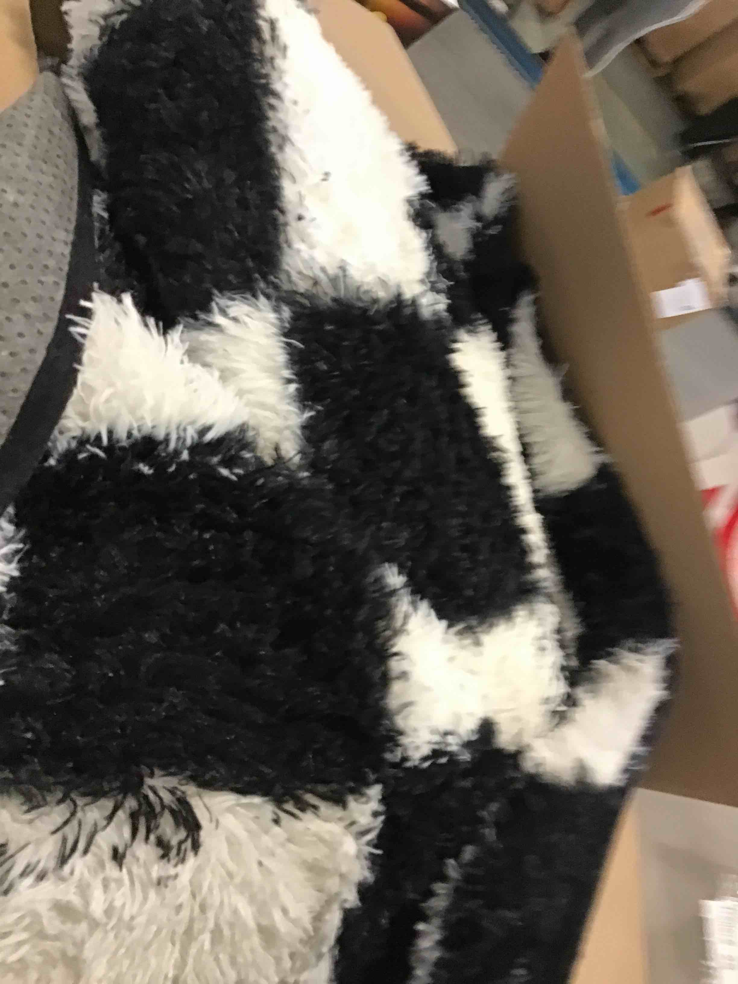 https://s3.amazonaws.com/lotting-images-prod/bidfta/BRN1651726_1733502428585.jpeg