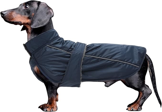 Dachshund Coat Waterproof, Perfect for Dachshund Sausage, Puppy Winter Jacket with Padded Fleece Lining, Outdoor Dog Clothing with Adjustable Bands and Underbelly Protection - Navy 