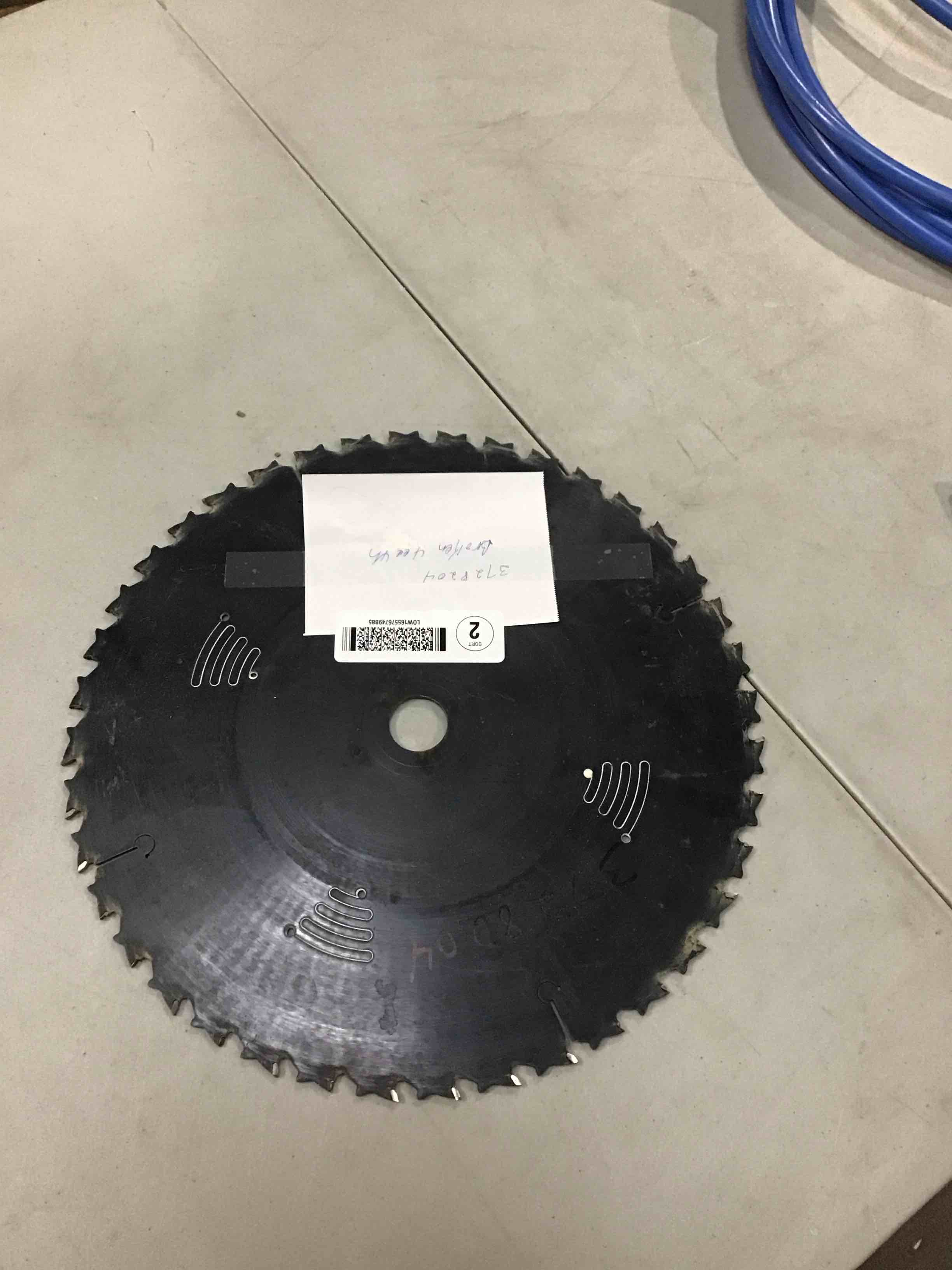 car bride tipped spider tarantula