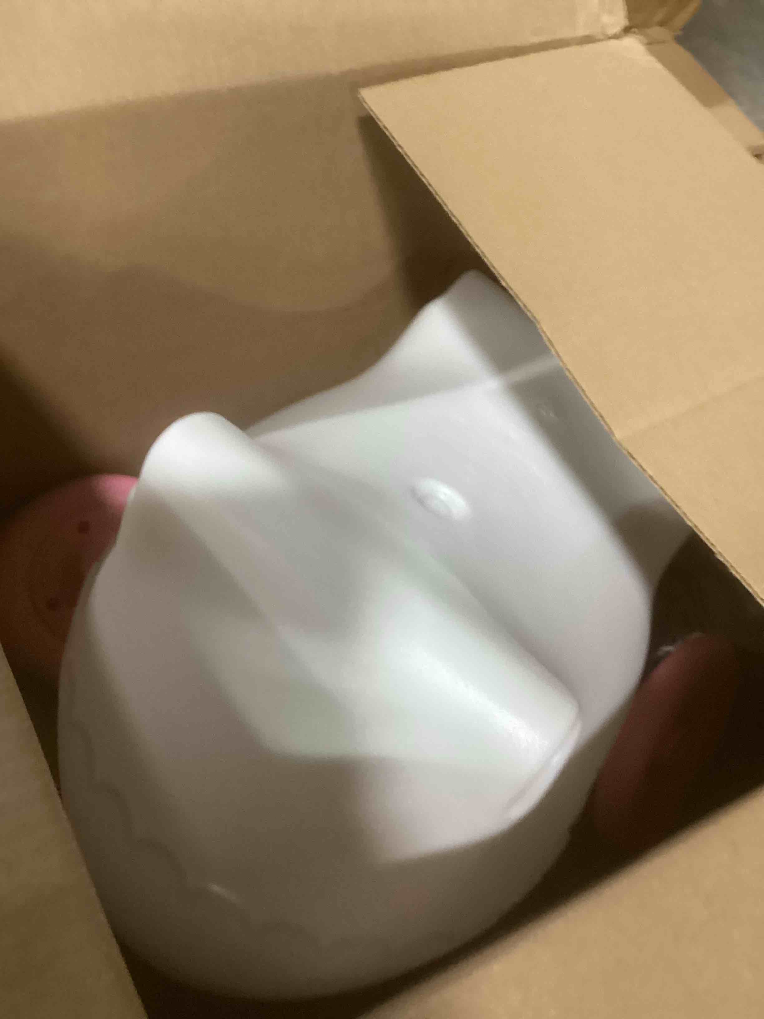 https://s3.amazonaws.com/lotting-images-prod/bidfta/BRN1689393_1738160774141.jpeg