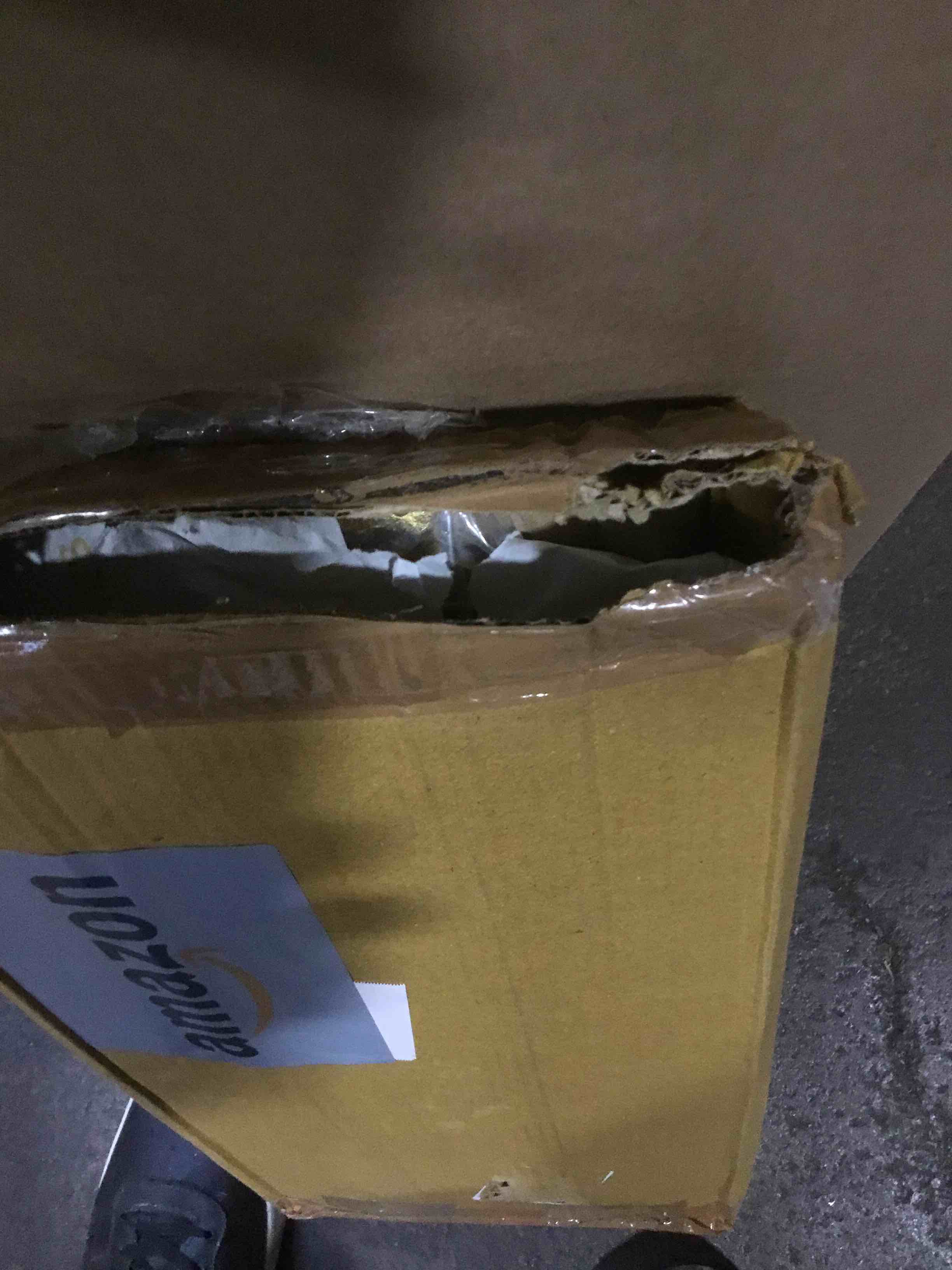 https://s3.amazonaws.com/lotting-images-prod/bidfta/BRN1692348_1738180626780.jpeg