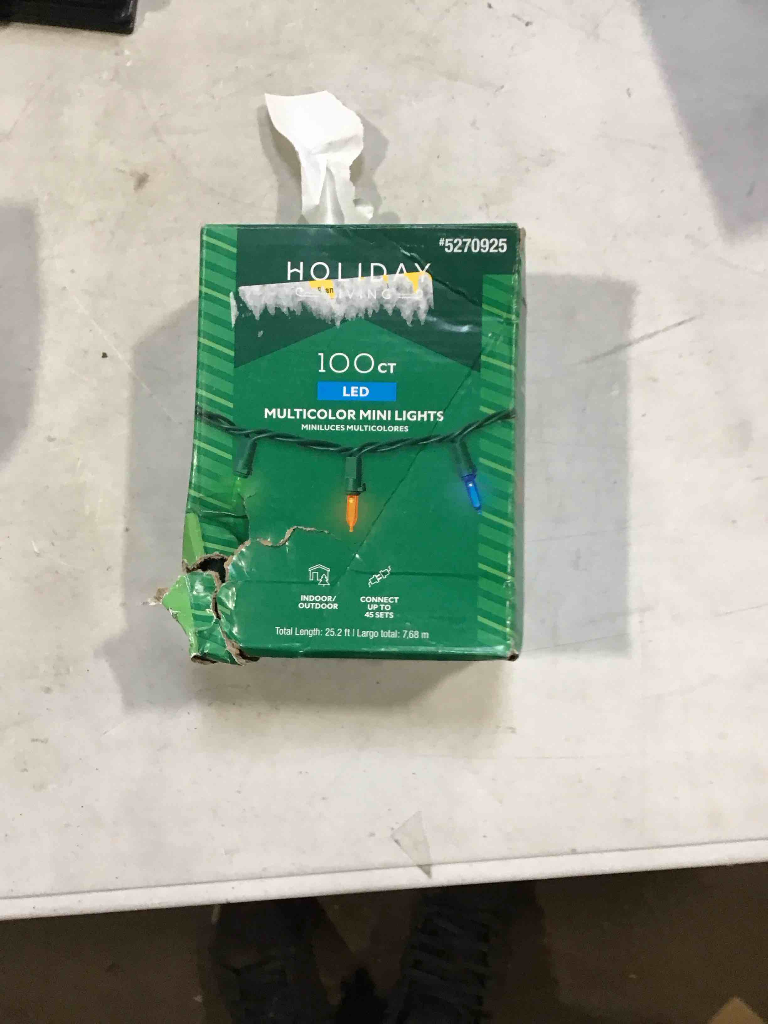 Holiday living 100 ct Led