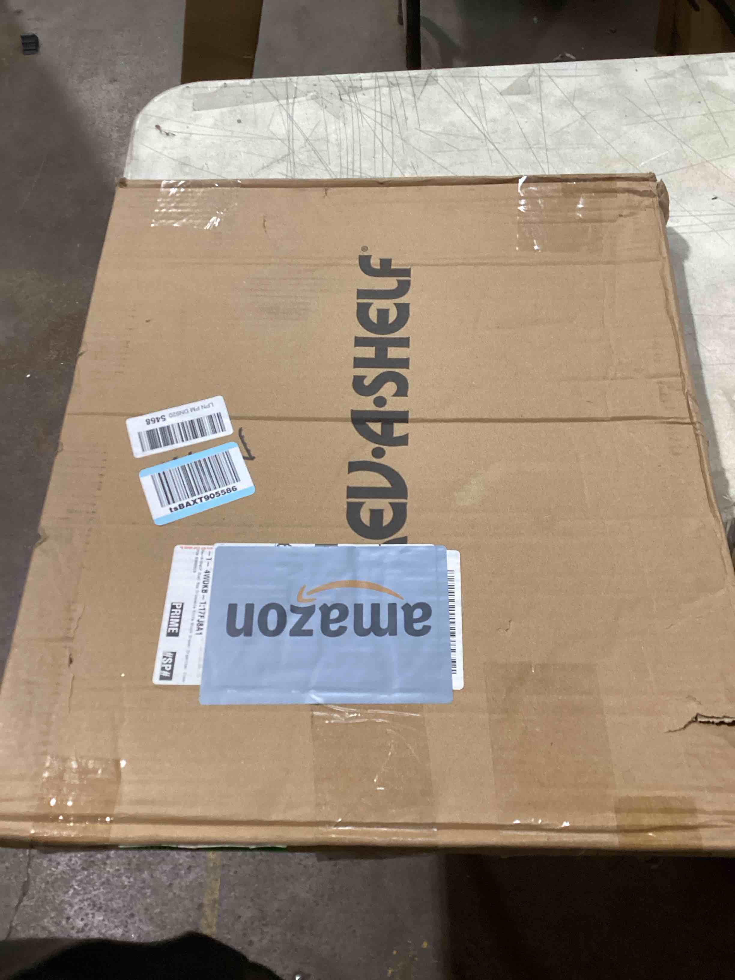 https://s3.amazonaws.com/lotting-images-prod/bidfta/BRN1693479_1736519016049.jpeg