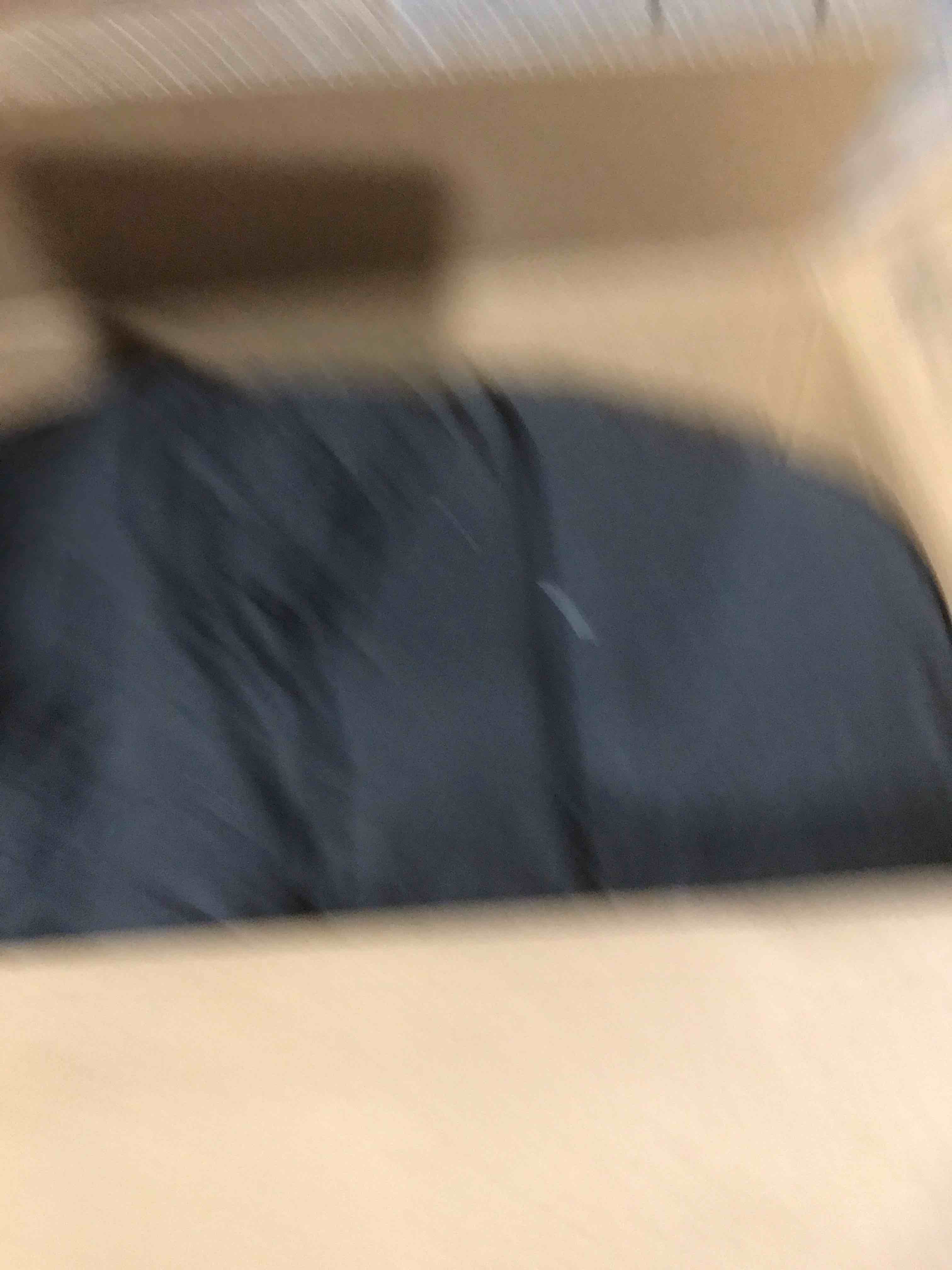 https://s3.amazonaws.com/lotting-images-prod/bidfta/BRN1694319_1737728667111.jpeg