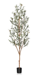 Kazeila Artificial Olive Tree 6FT Tall Faux Silk Plant for Home Office Decor Indoor Fake Potted Tree with Wood Branches and Fruits