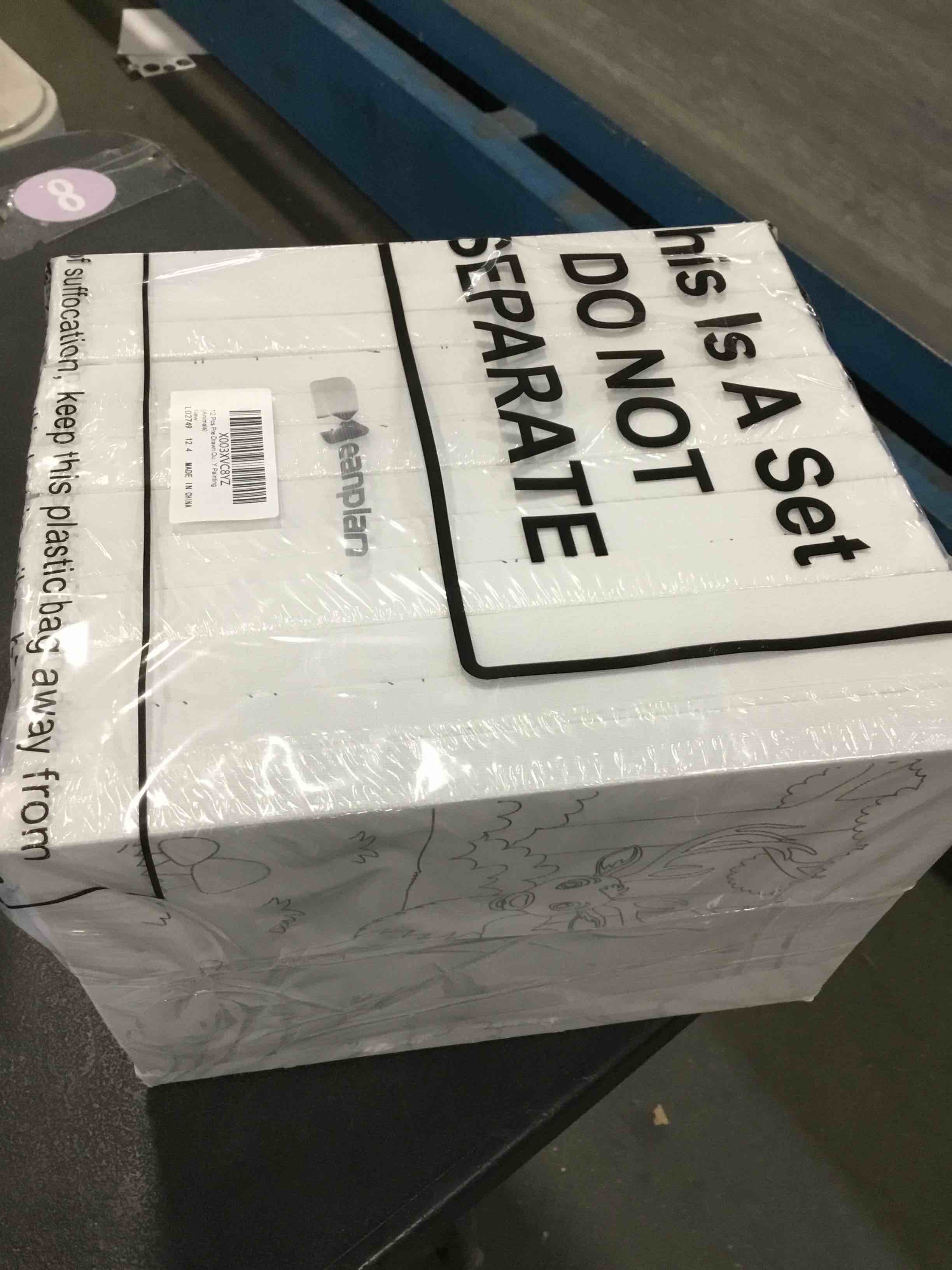 12 pcs Of canvases to paint different  Types Animals