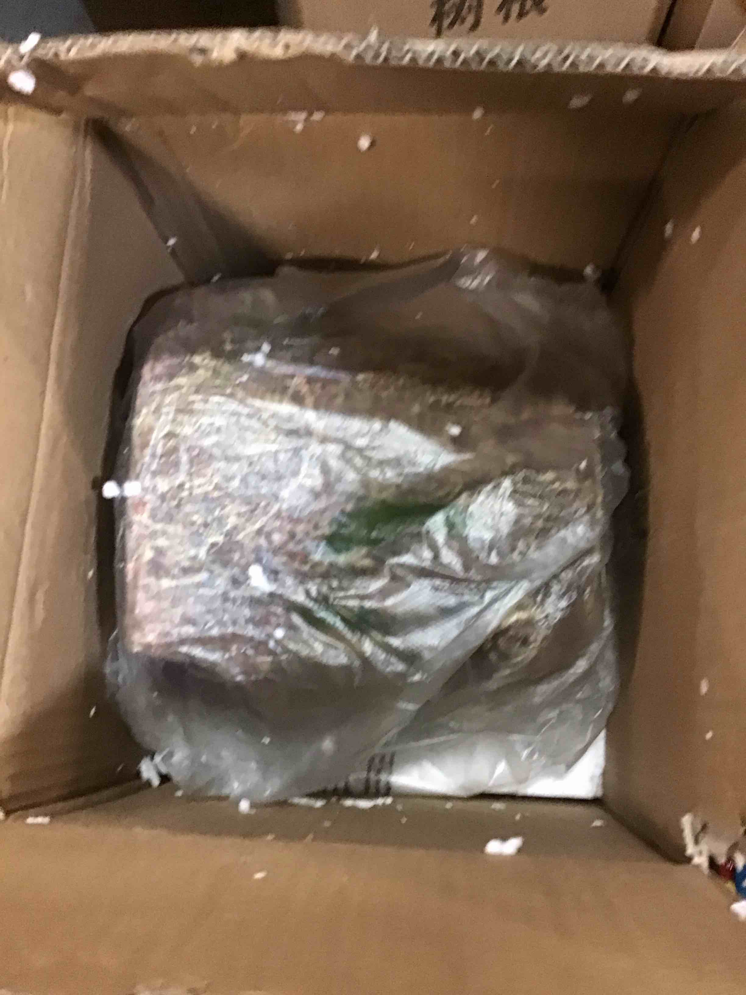 https://s3.amazonaws.com/lotting-images-prod/bidfta/BRN1753911_1737056471650.jpeg