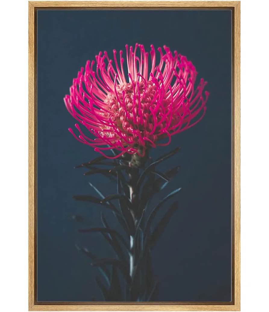 flower blossom IDEA4WALL framed canvas print wall art magenta