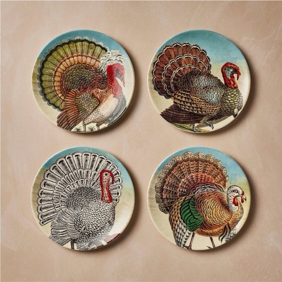 4pc Stoneware Fall Turkey Salad Plate Set - John Derian for Target