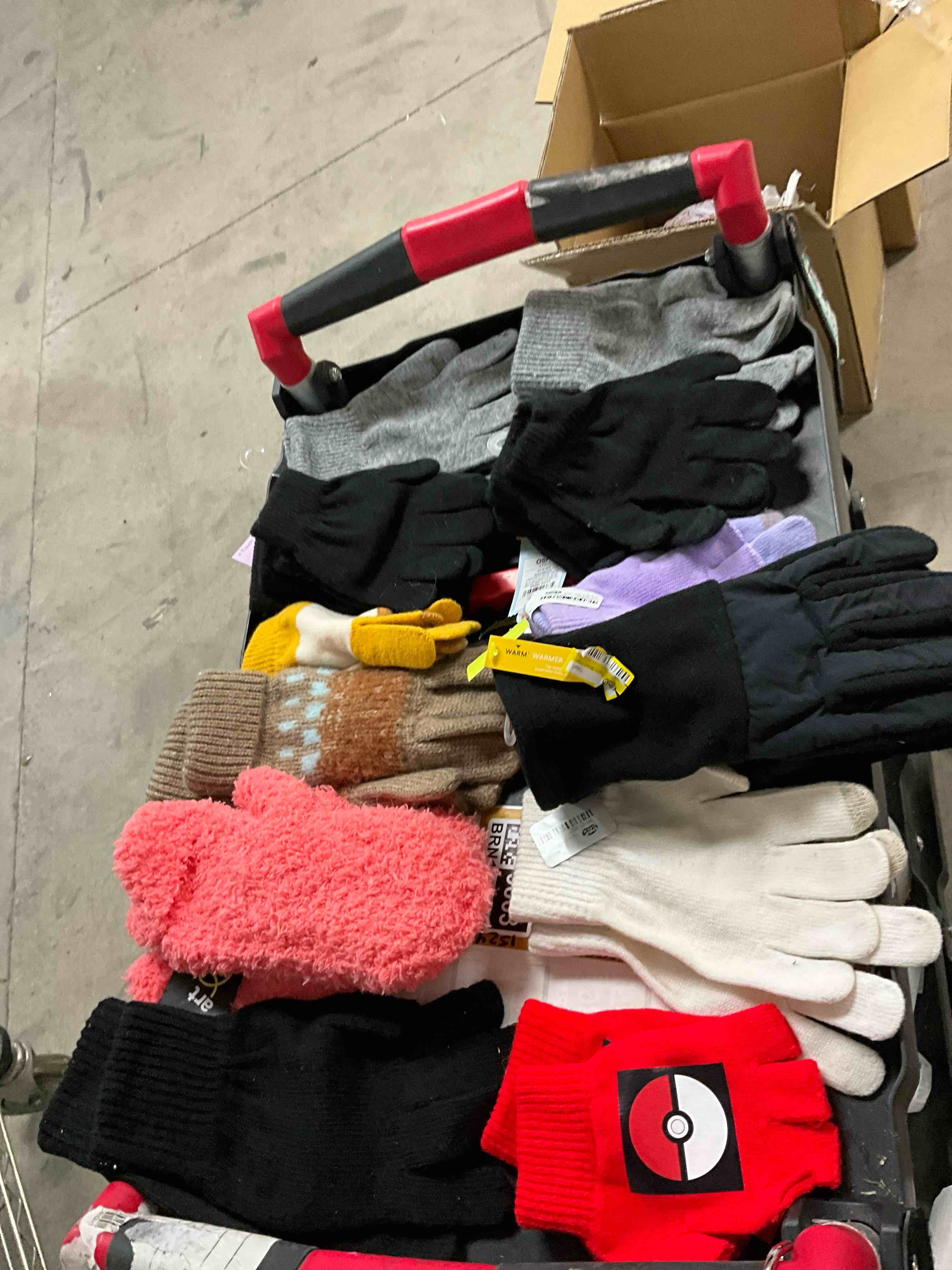 Assorted Winter Gloves (12 Pair)