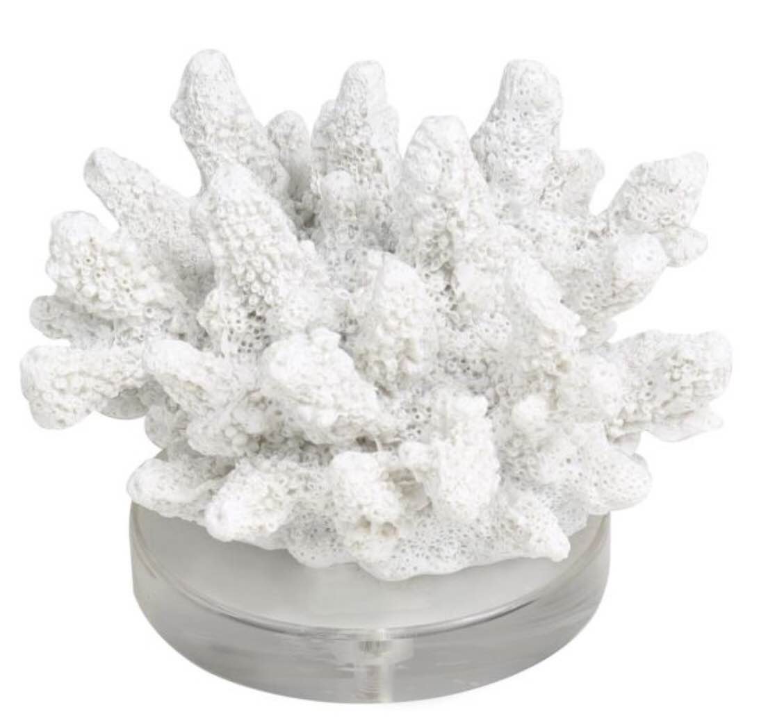 White Polystone Coral Small Textured Decorative Sculpture with Clear Acrylic Base, 6" x 5" x 4