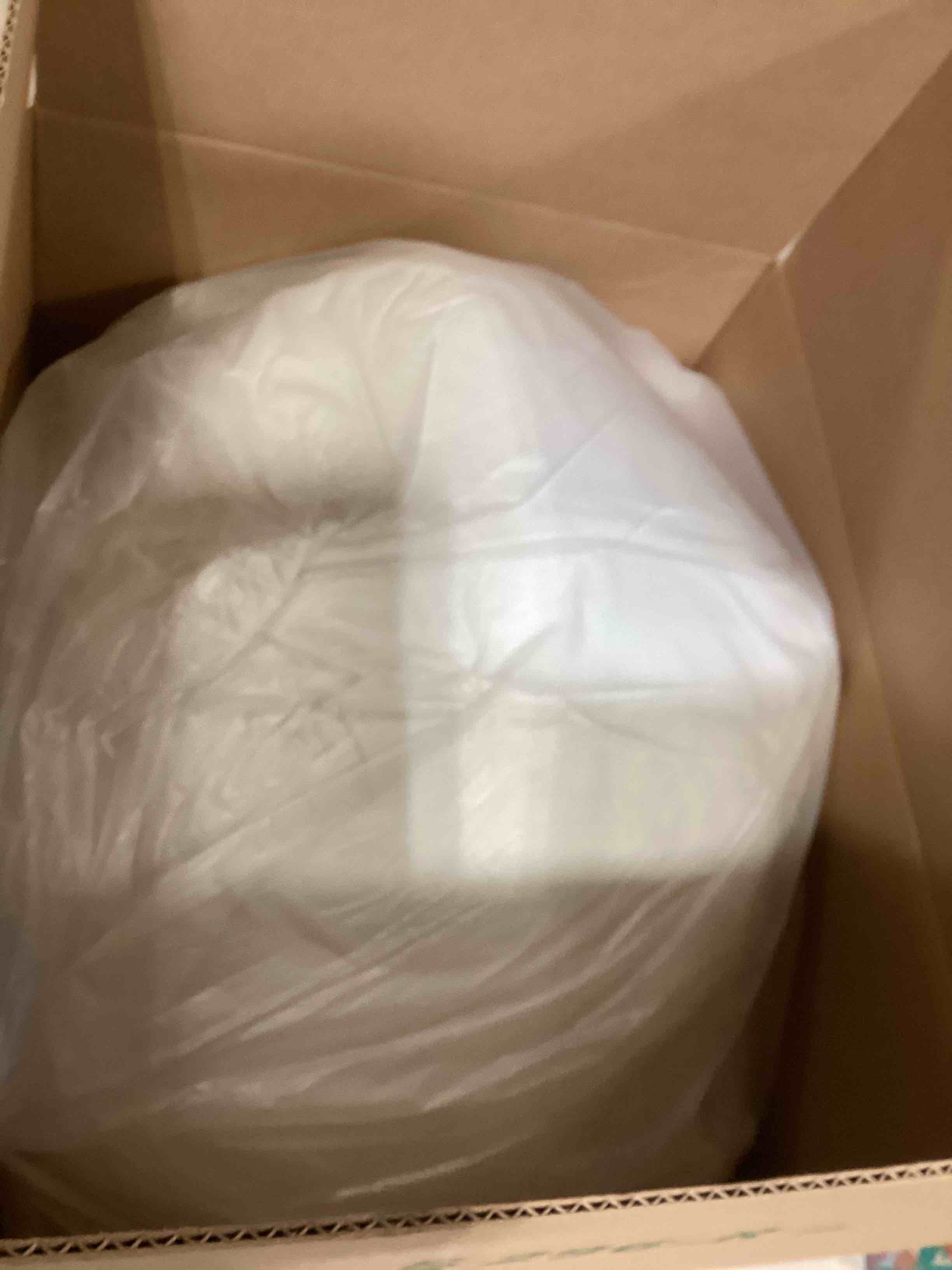 https://s3.amazonaws.com/lotting-images-prod/bidfta/BRN1840266_1743789502605.jpeg