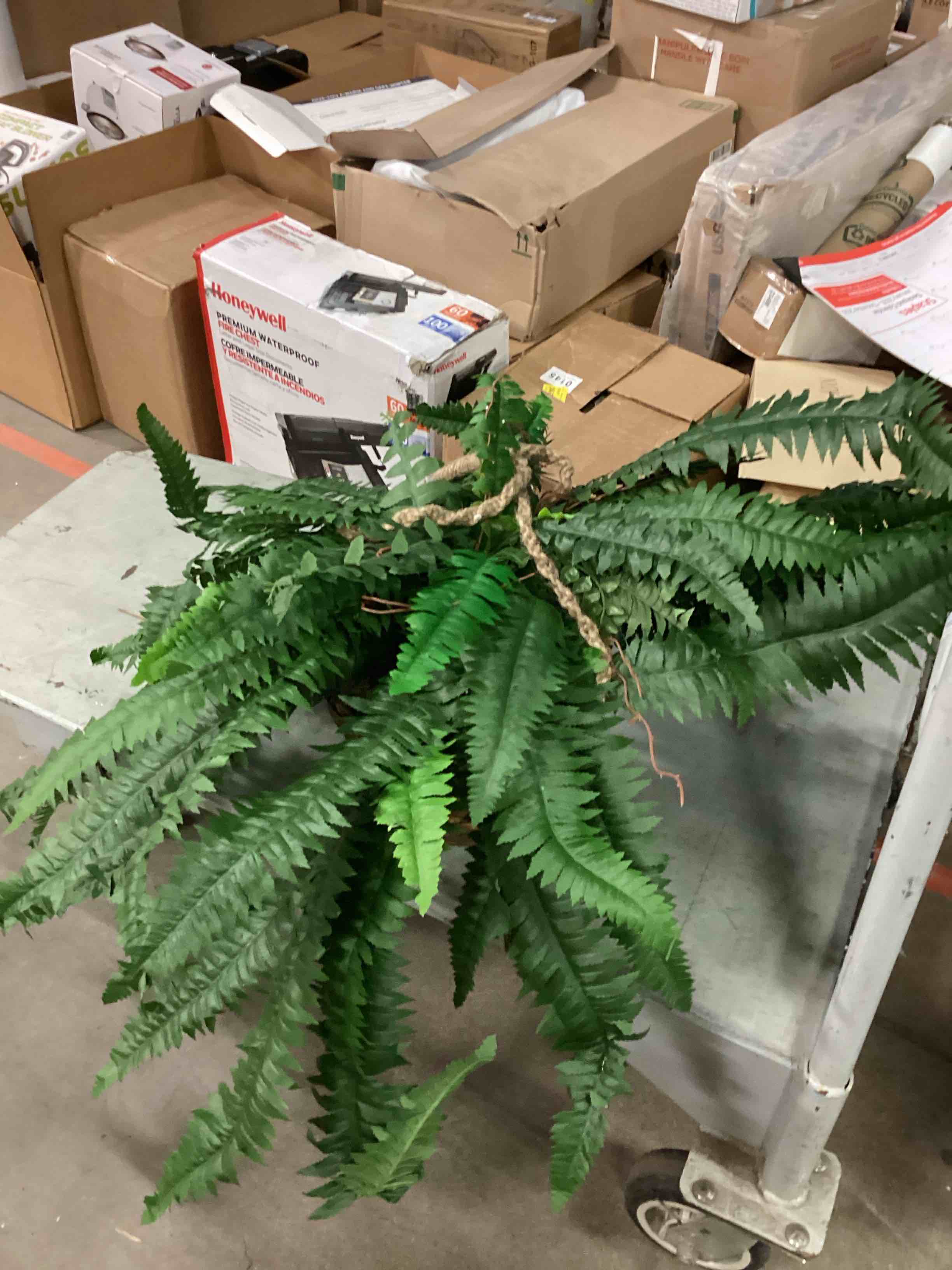 https://s3.amazonaws.com/lotting-images-prod/bidfta/BRN1903241_1742313910073.jpeg