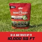 10 lbs. Lawn Insect Killer Granules