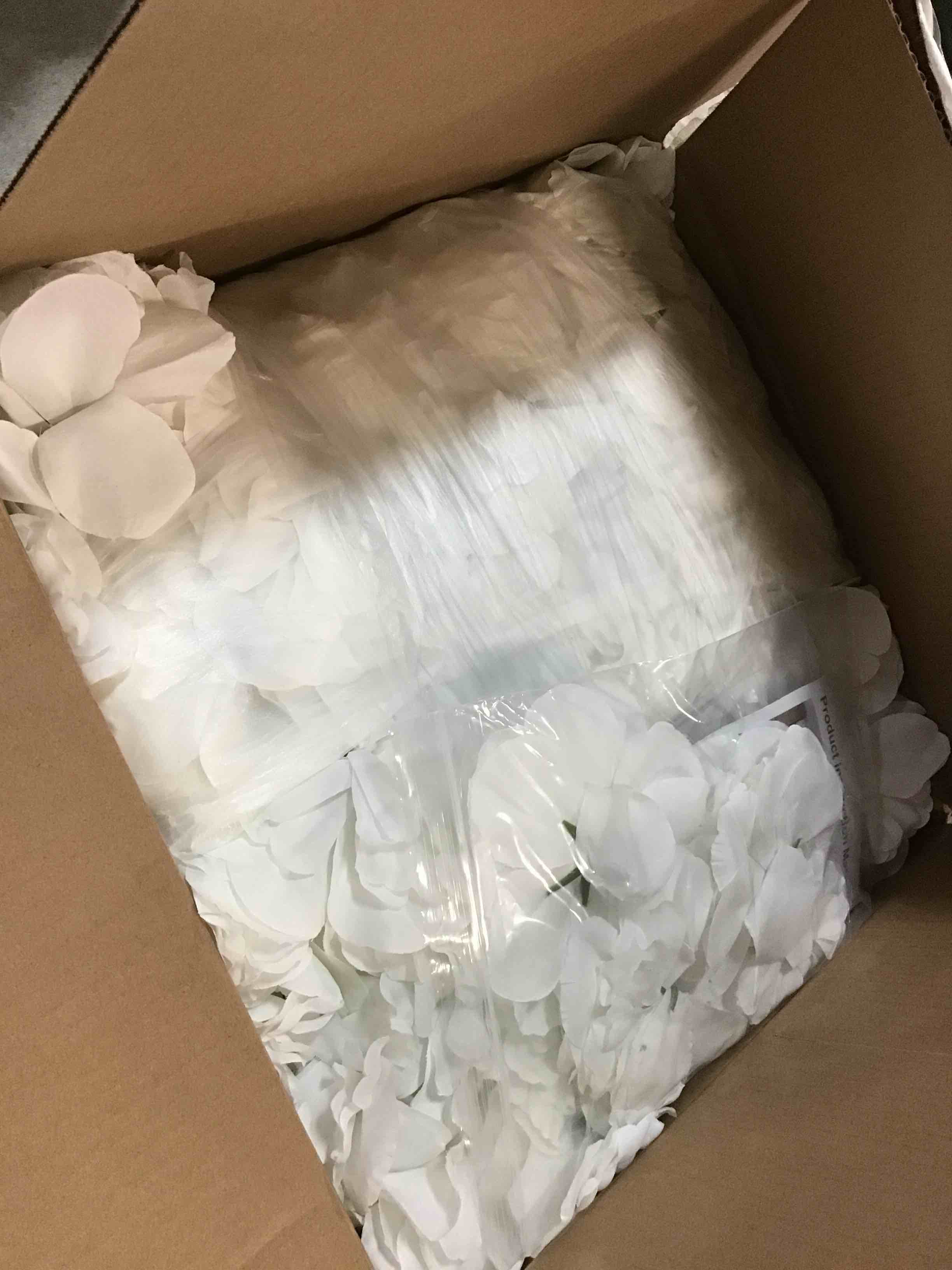https://s3.amazonaws.com/lotting-images-prod/bidfta/BRN1965363_1744991157582.jpeg