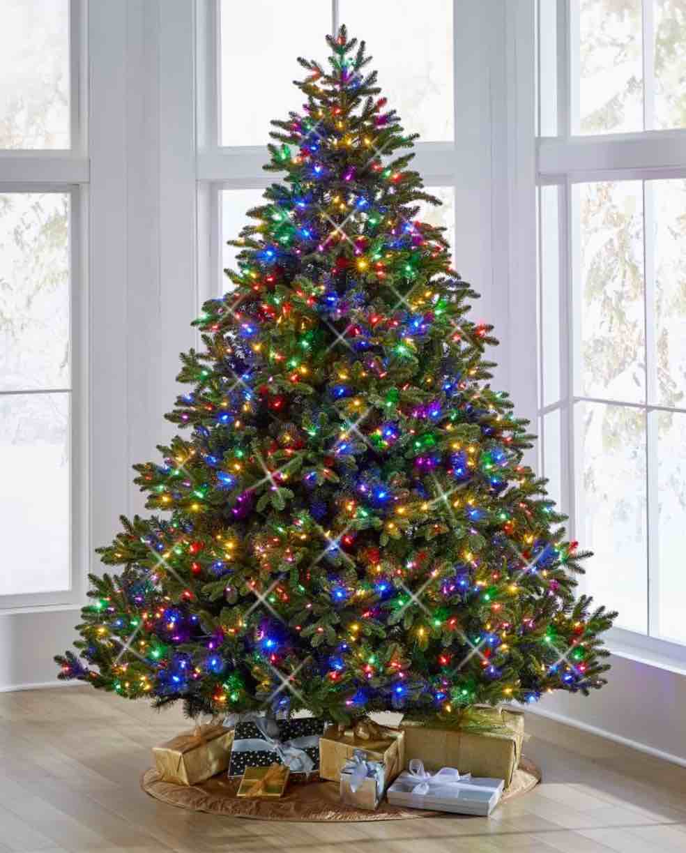 The World's Best Prelit LED Noble Fir