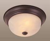 TRANS GLOBE Imports 13617 ROB Traditional Two Light Flushmount from Browns Collection in Bronze/Dark Finish, 11.00 inches