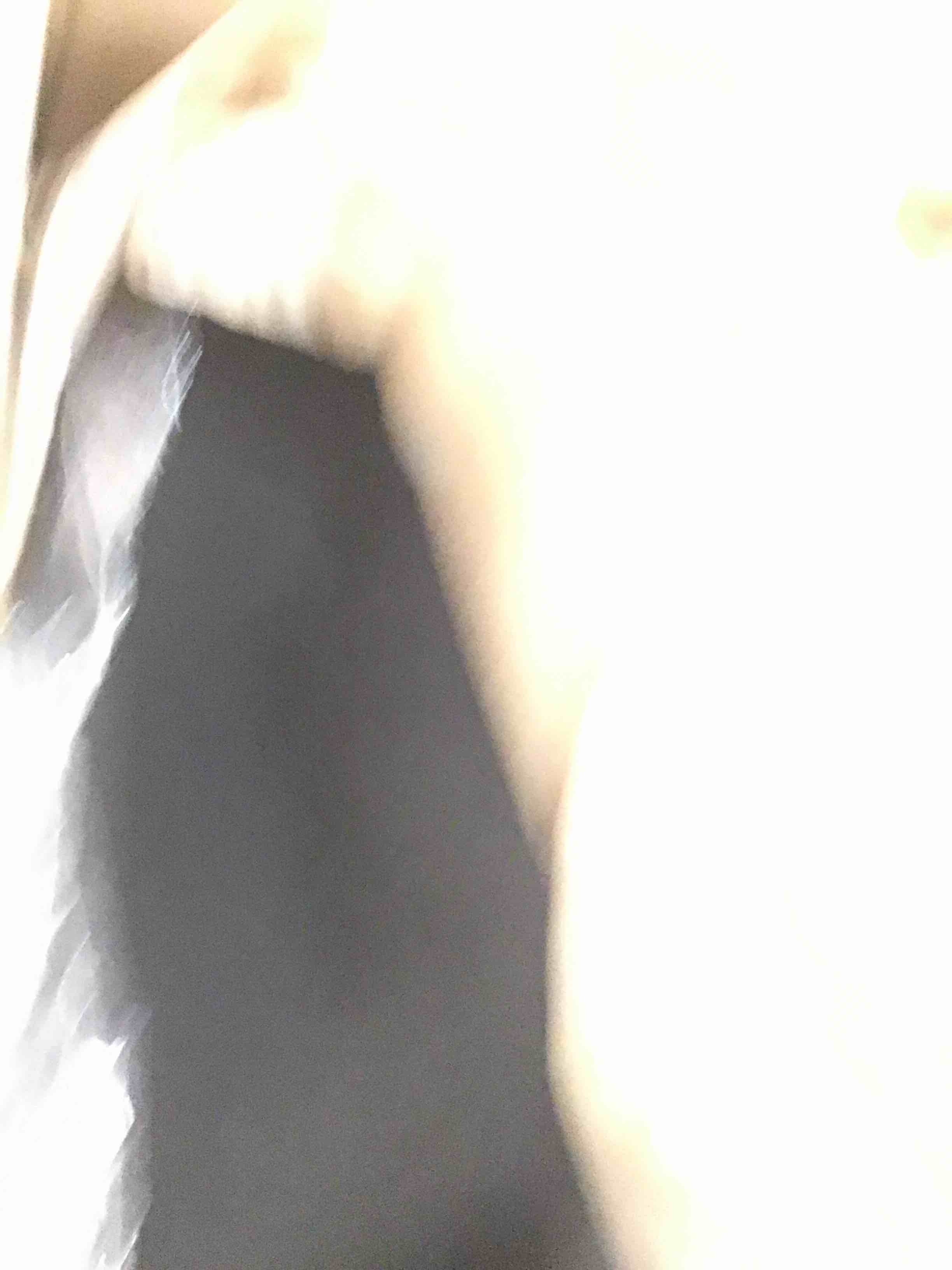 https://s3.amazonaws.com/lotting-images-prod/bidfta/BRN2037905_1742496044619.jpeg