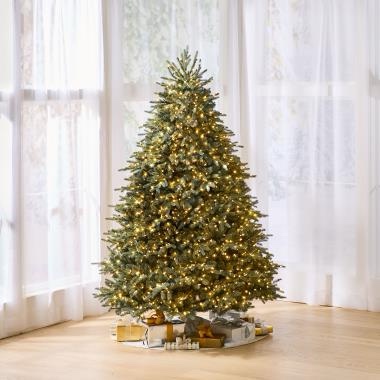 The World's Best Prelit Blue Spruce