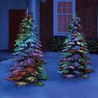 The Thousand Points of Light Tree
