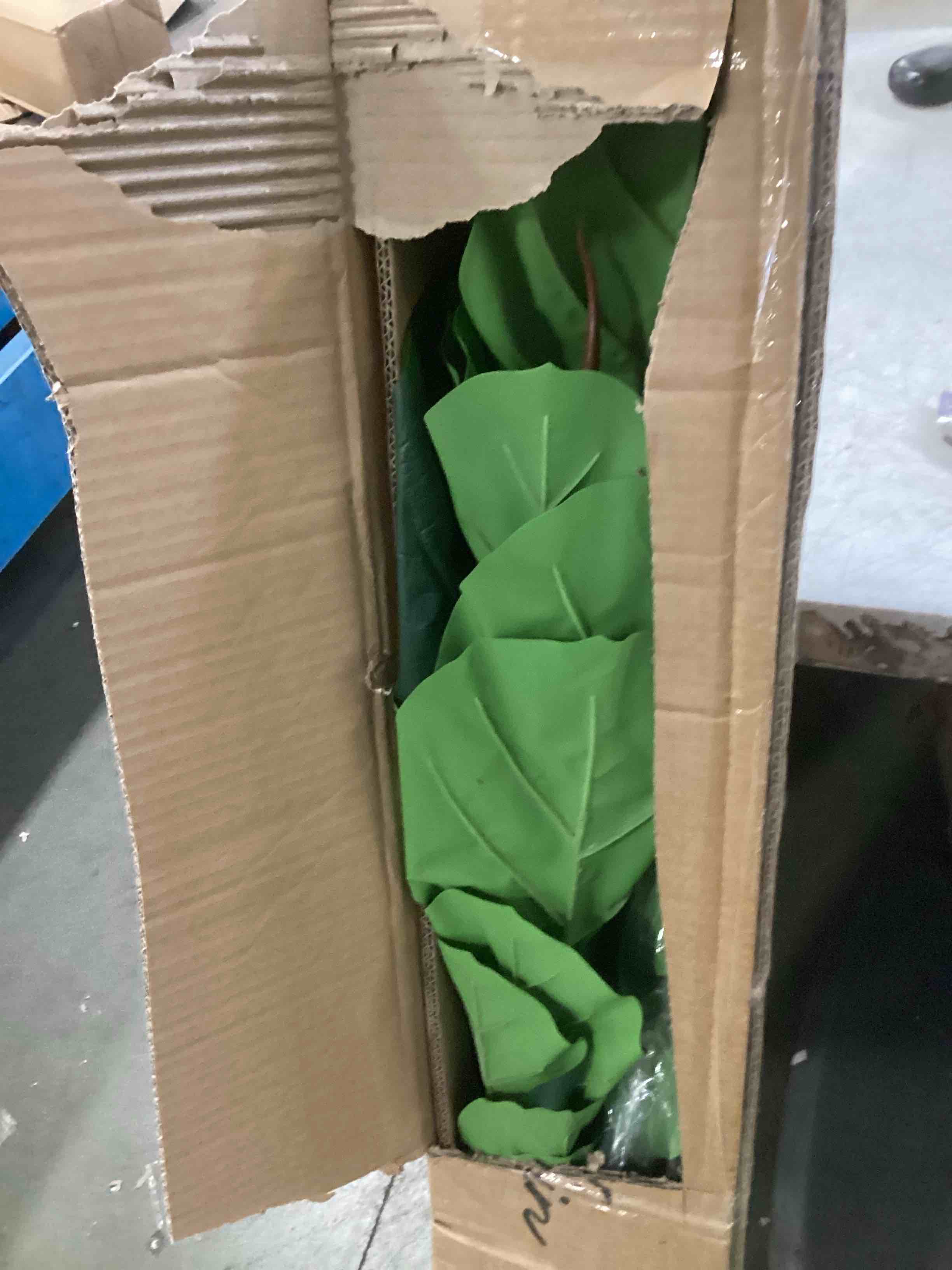 https://s3.amazonaws.com/lotting-images-prod/bidfta/BRN2224134_1739903014966.jpeg