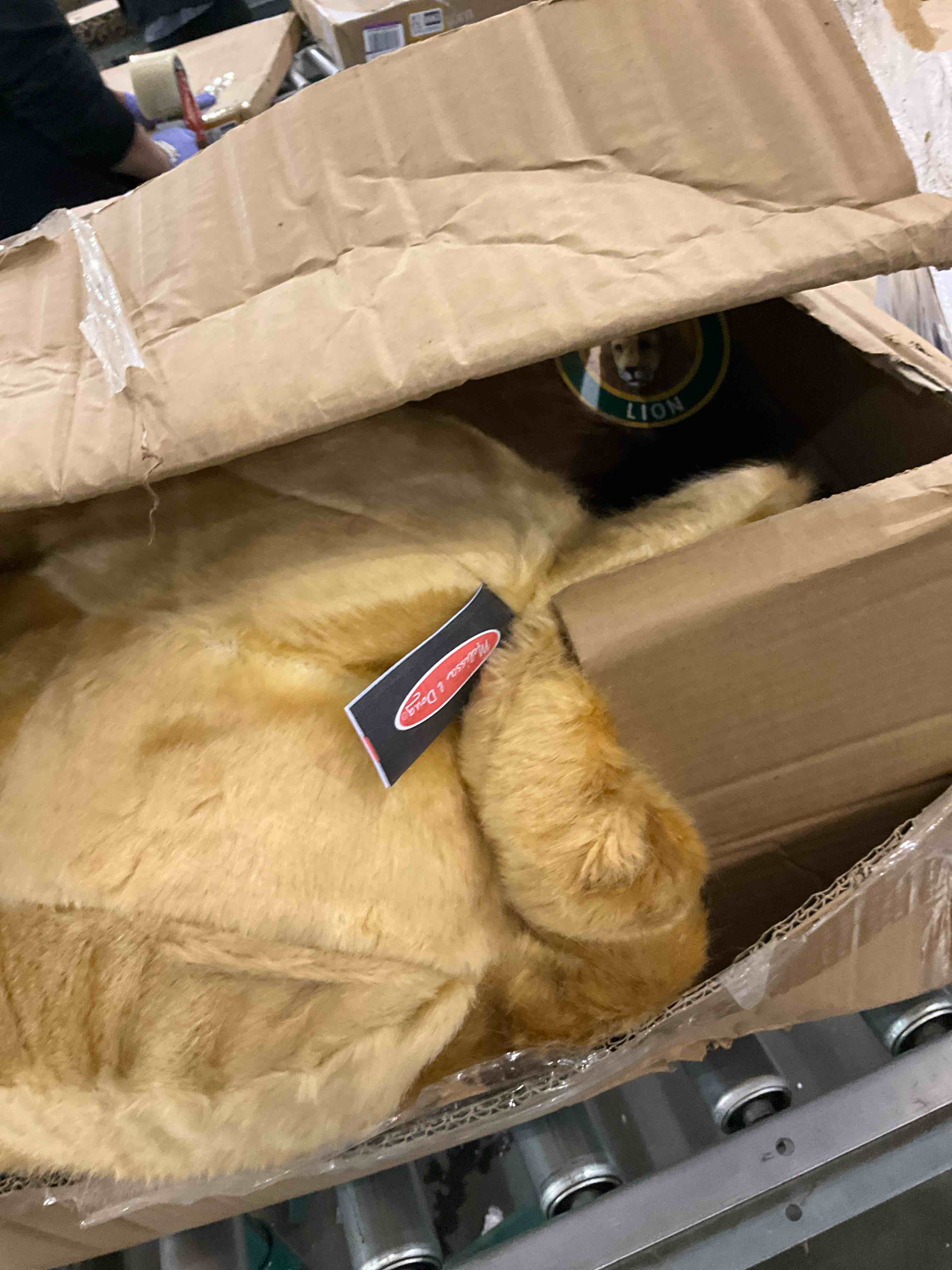 https://s3.amazonaws.com/lotting-images-prod/bidfta/BRN2267984_1742393607445.jpeg