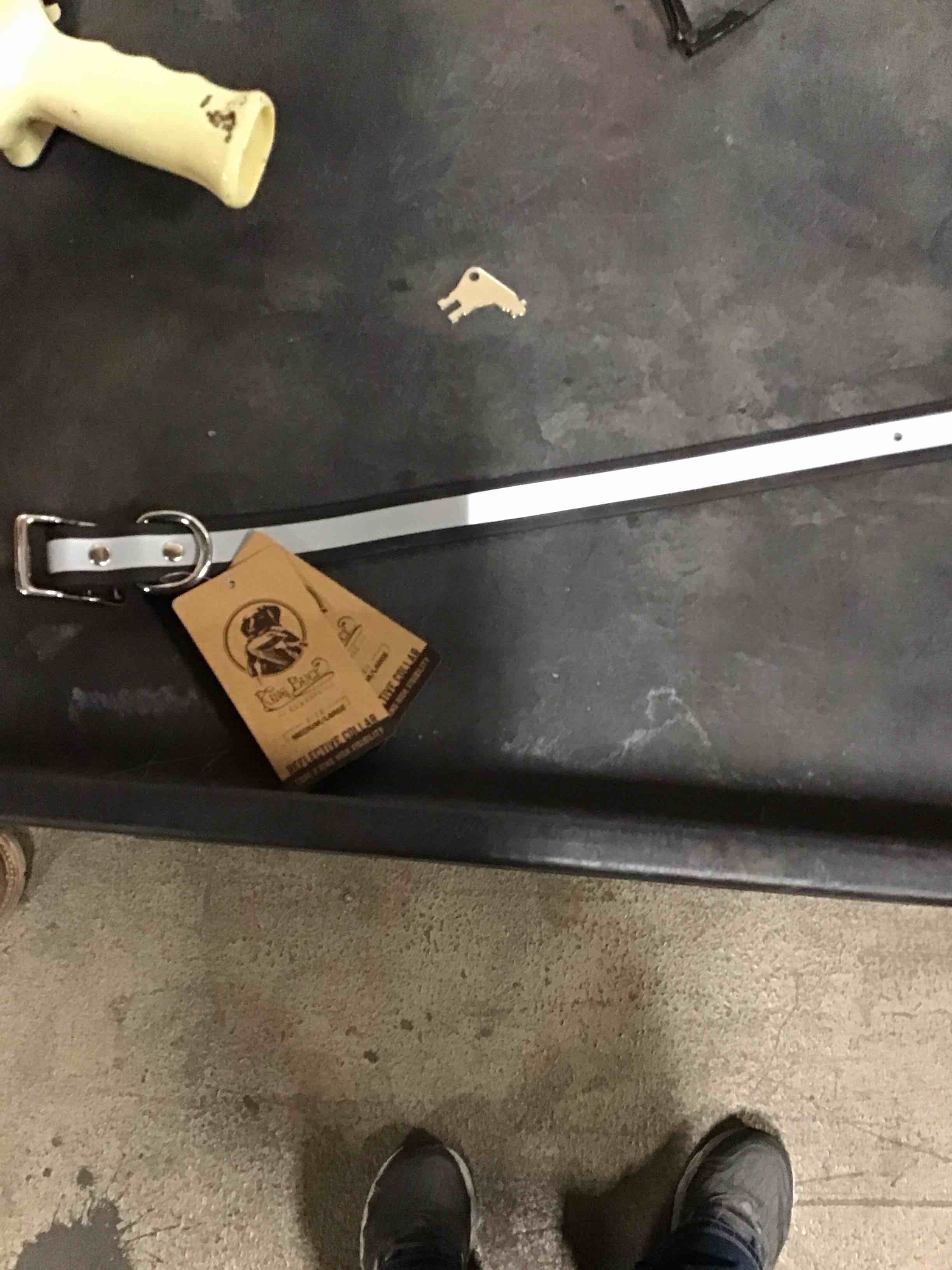 king buck reflective dog collar medium/large