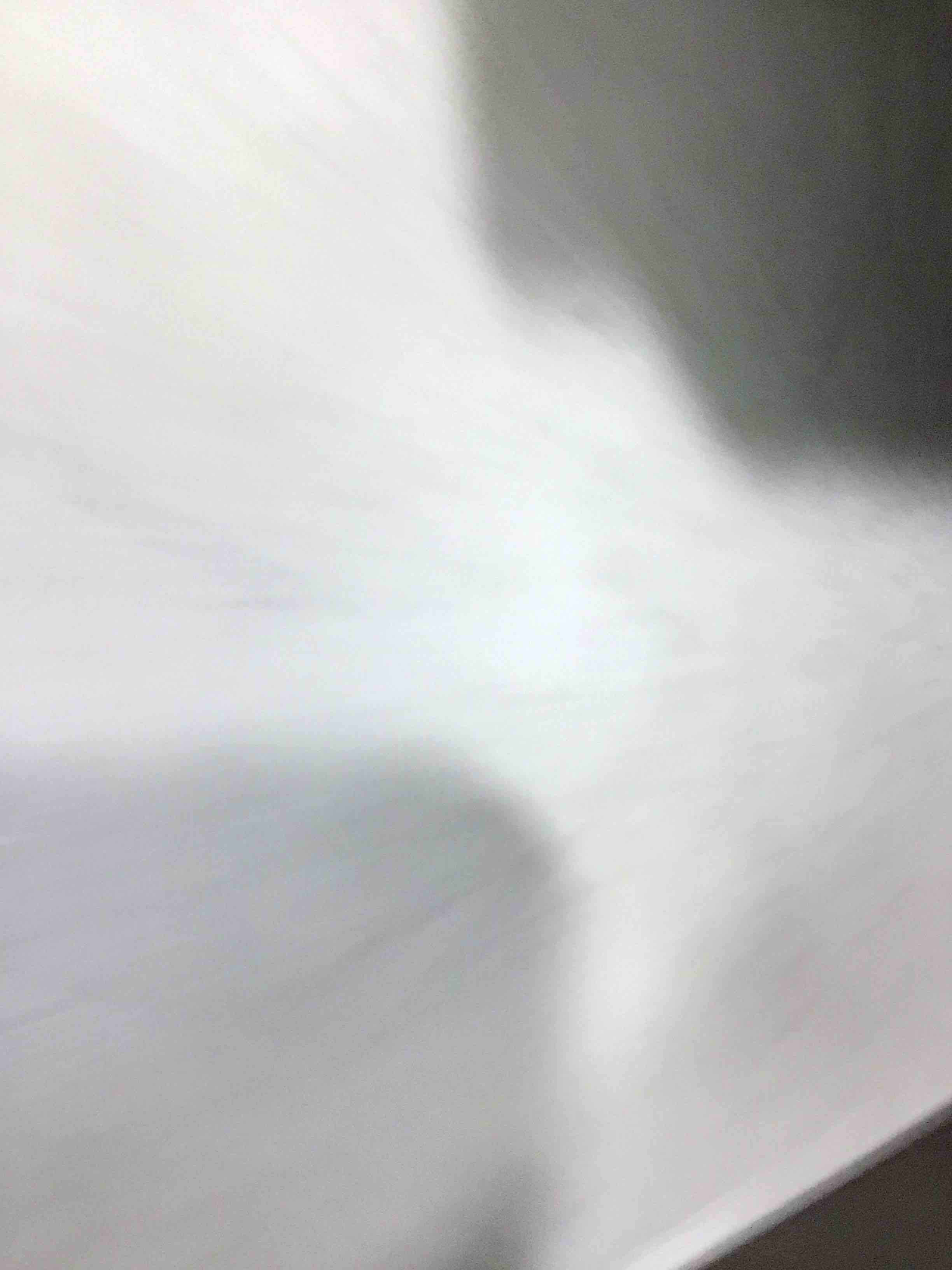 https://s3.amazonaws.com/lotting-images-prod/bidfta/BRN2314197_1738154764549.jpeg