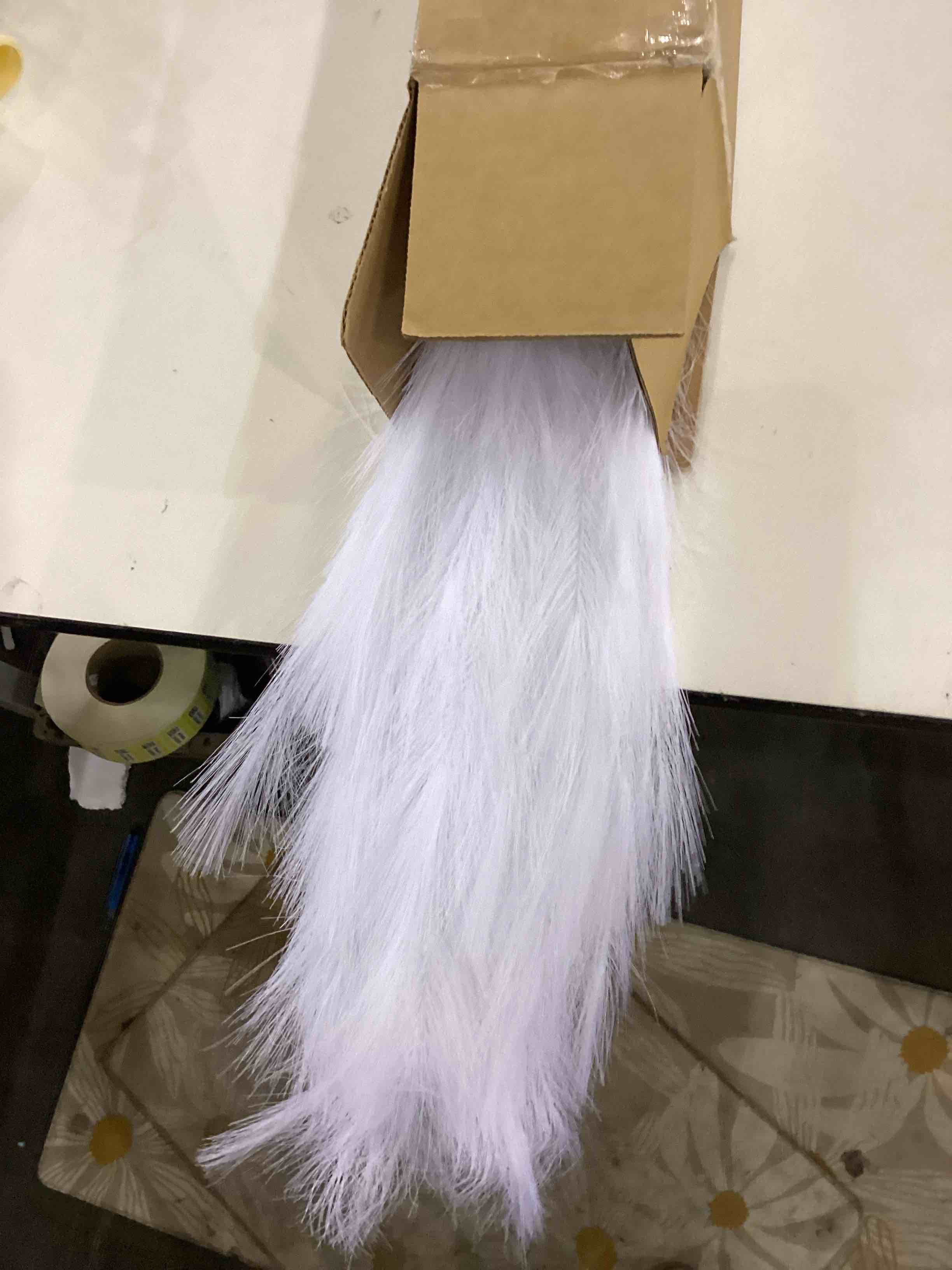 https://s3.amazonaws.com/lotting-images-prod/bidfta/BRN2356152_1758545565838.jpeg