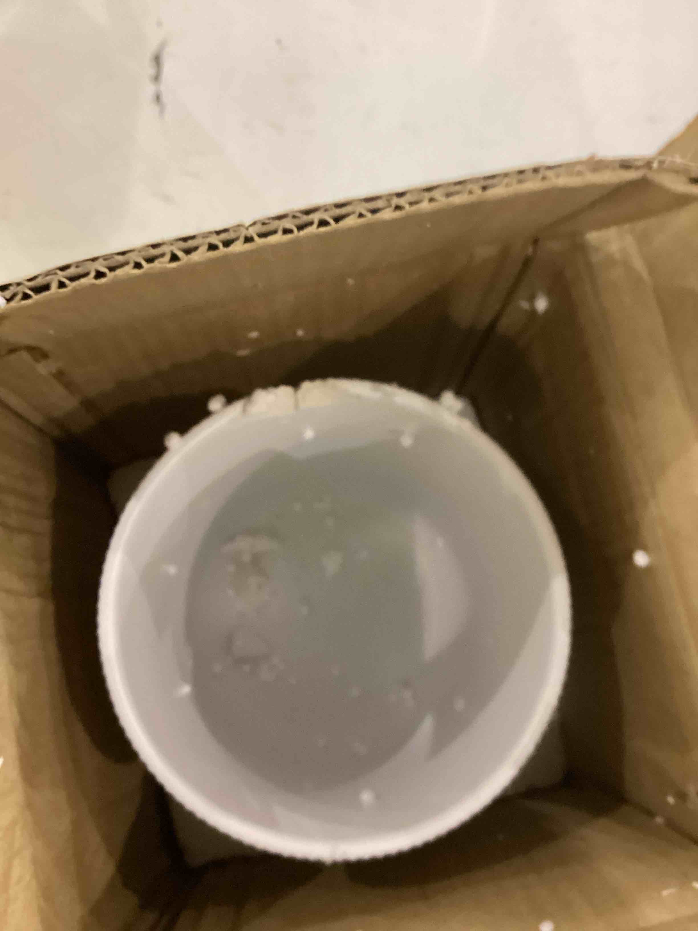 https://s3.amazonaws.com/lotting-images-prod/bidfta/BRN2477287_1761132513165.jpeg