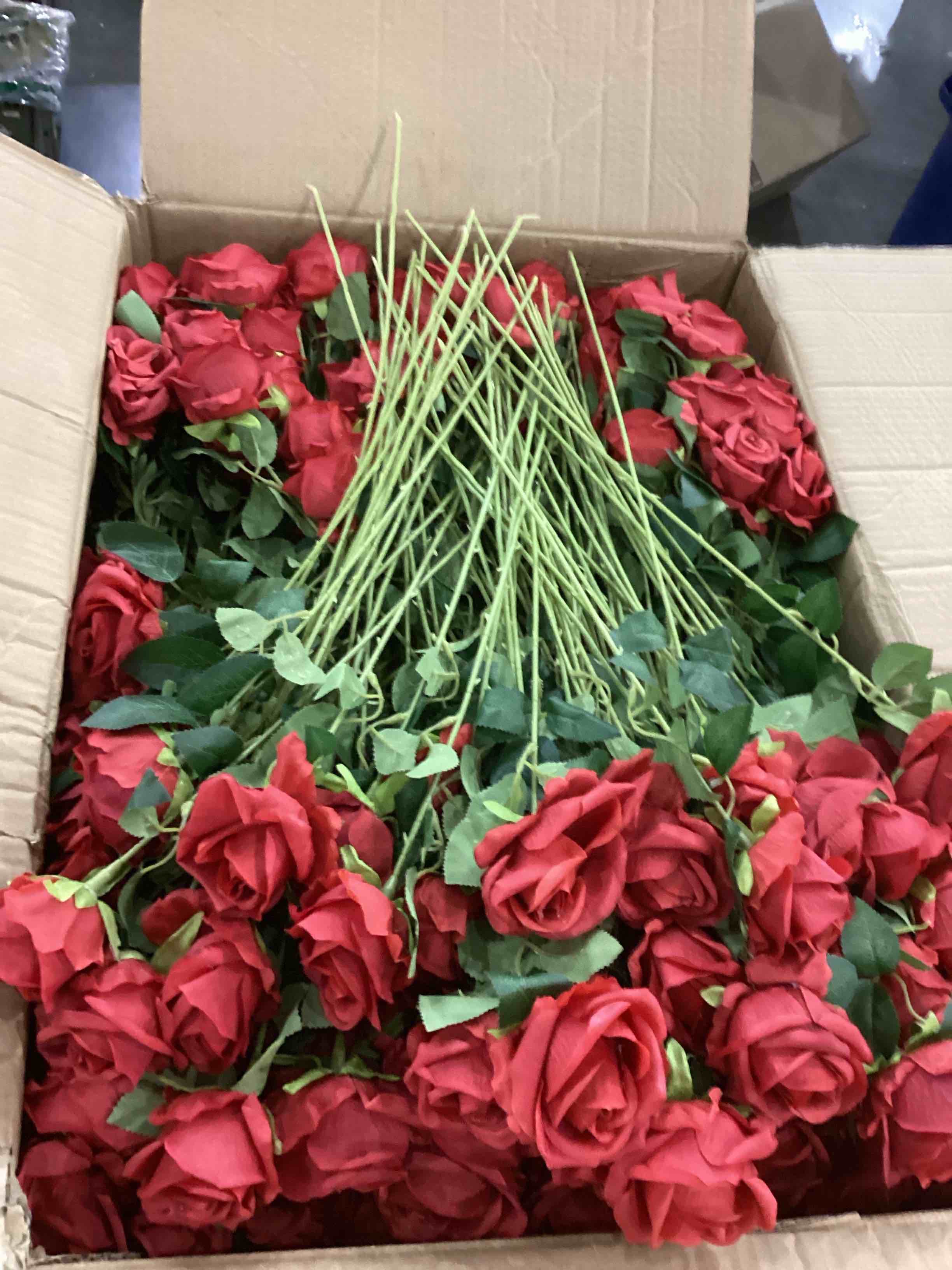 https://s3.amazonaws.com/lotting-images-prod/bidfta/BRN2477312_1761133998213.jpeg