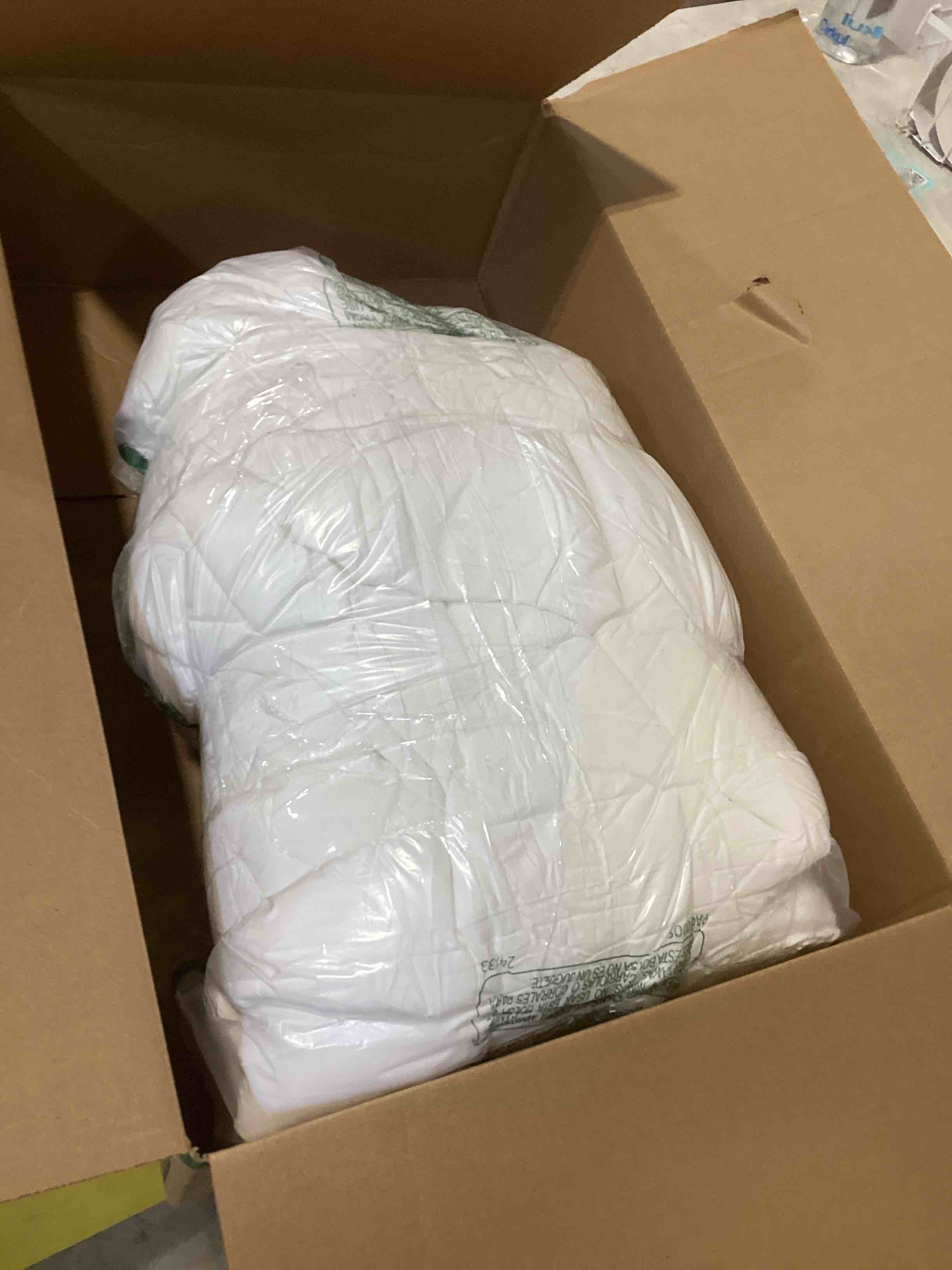 Amazon Basics White Down Alternative Comforter and Duvet Insert with Corner Tabs (Twin, All-Season)