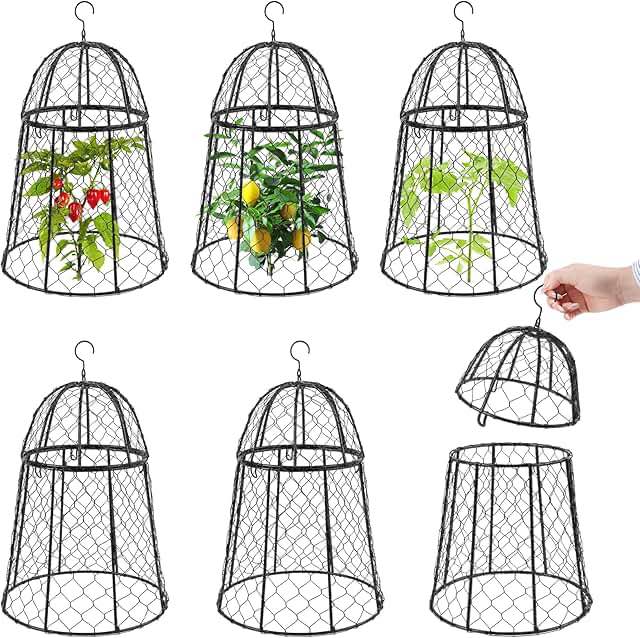 Condition photo showing As Is for boldworks garden cloches for plants chicken wire cages to protect from animals outdoor extra large rustproof thicker and finer mesh 12" x 20" pack of 6