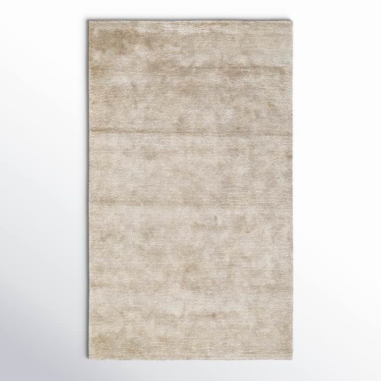 Cliona Area Rug size 3’X5’