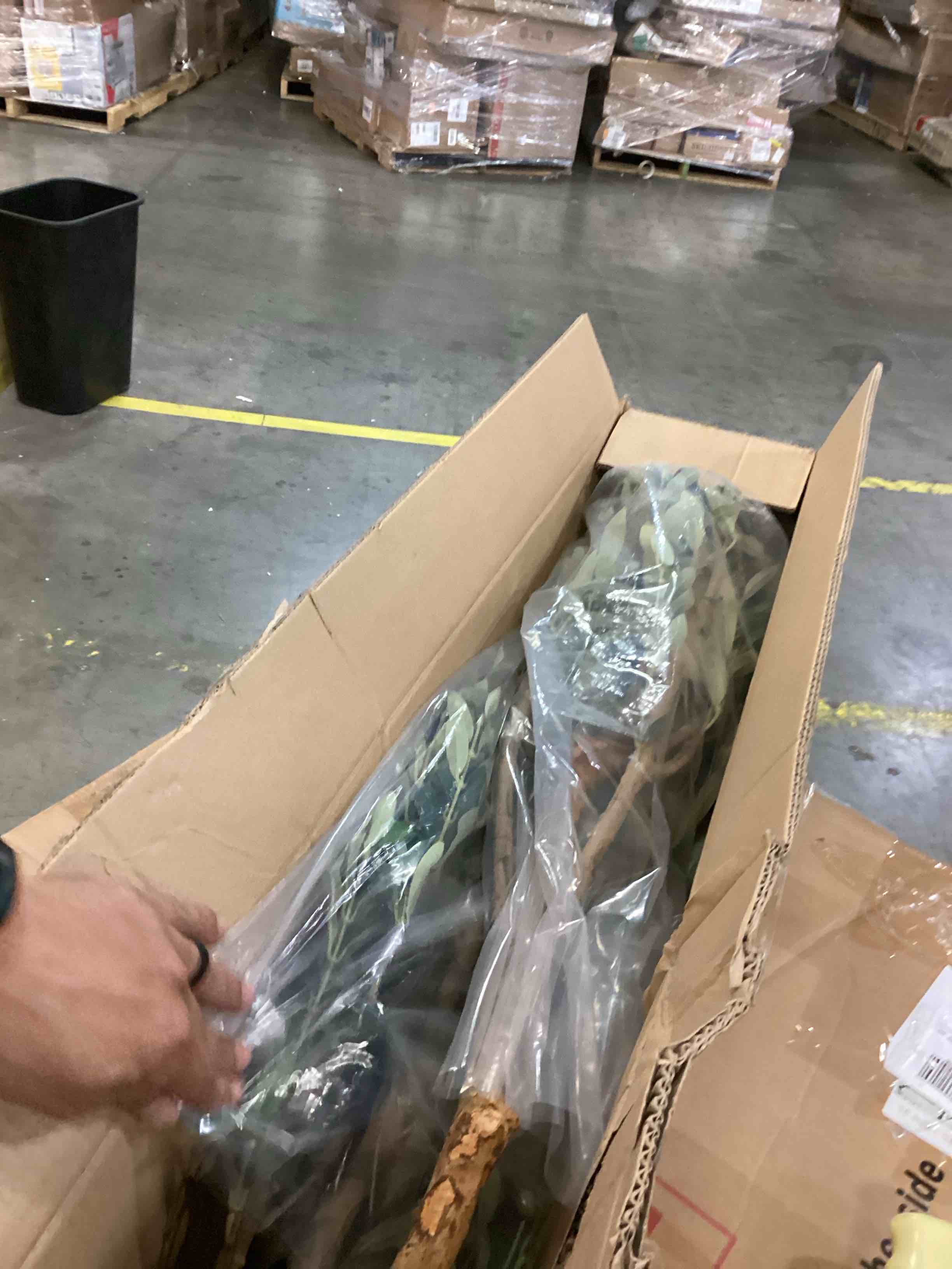 https://s3.amazonaws.com/lotting-images-prod/bidfta/BRN2539406_1753885454659.jpeg
