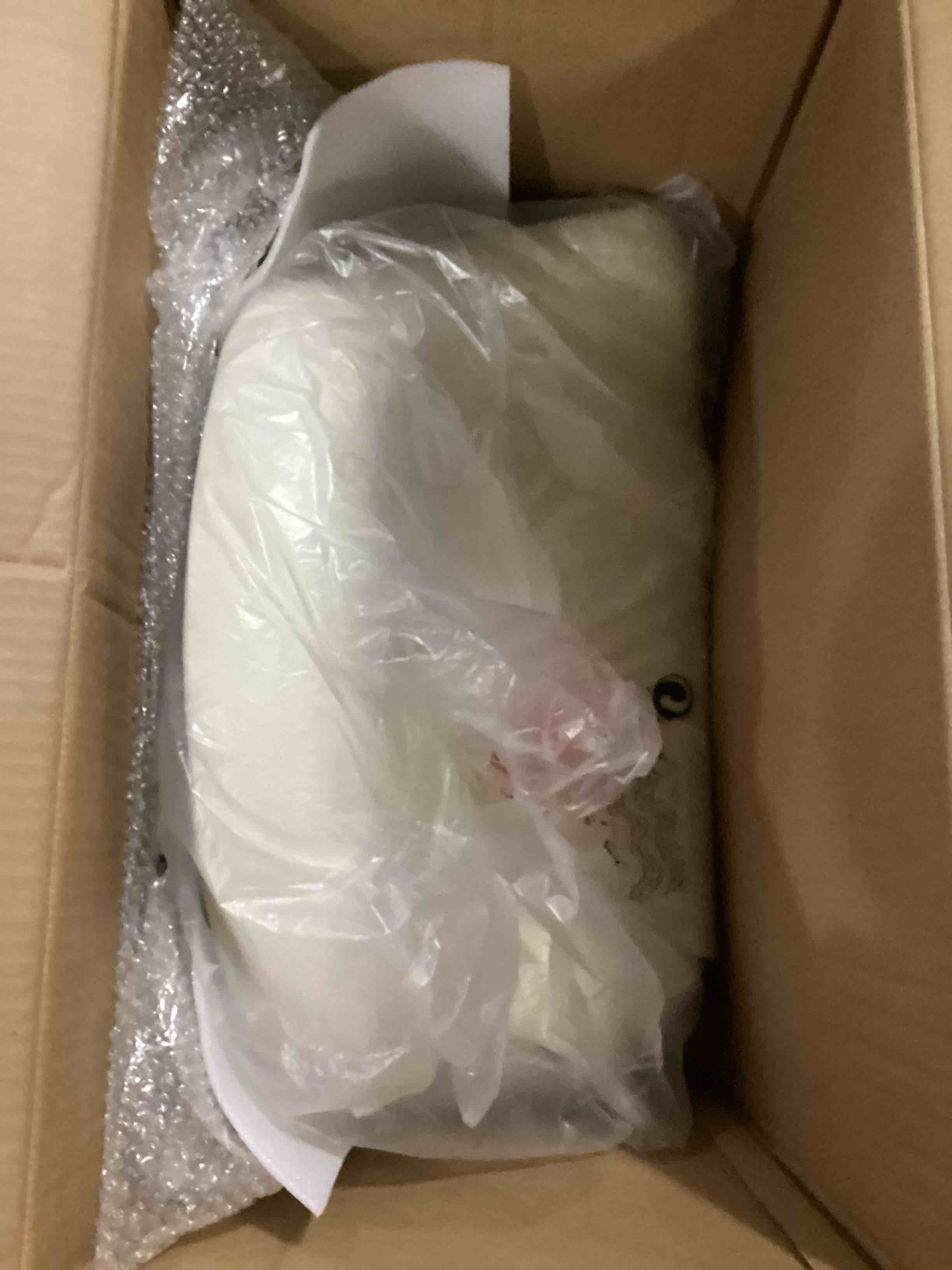 https://s3.amazonaws.com/lotting-images-prod/bidfta/BRN2751411_1750434588277.jpeg