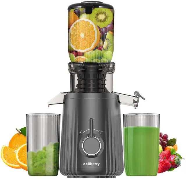 celiberry Cold Press Juicer, Slow Masticating Juicer Machines with Wide Chute, Self Feeding Electric Juicer Fit Whole Vegetable & Fruit, Quiet Motor, 98% Juice Purity, Easy Clean Gray - SIMILAR TO THE STOCK 