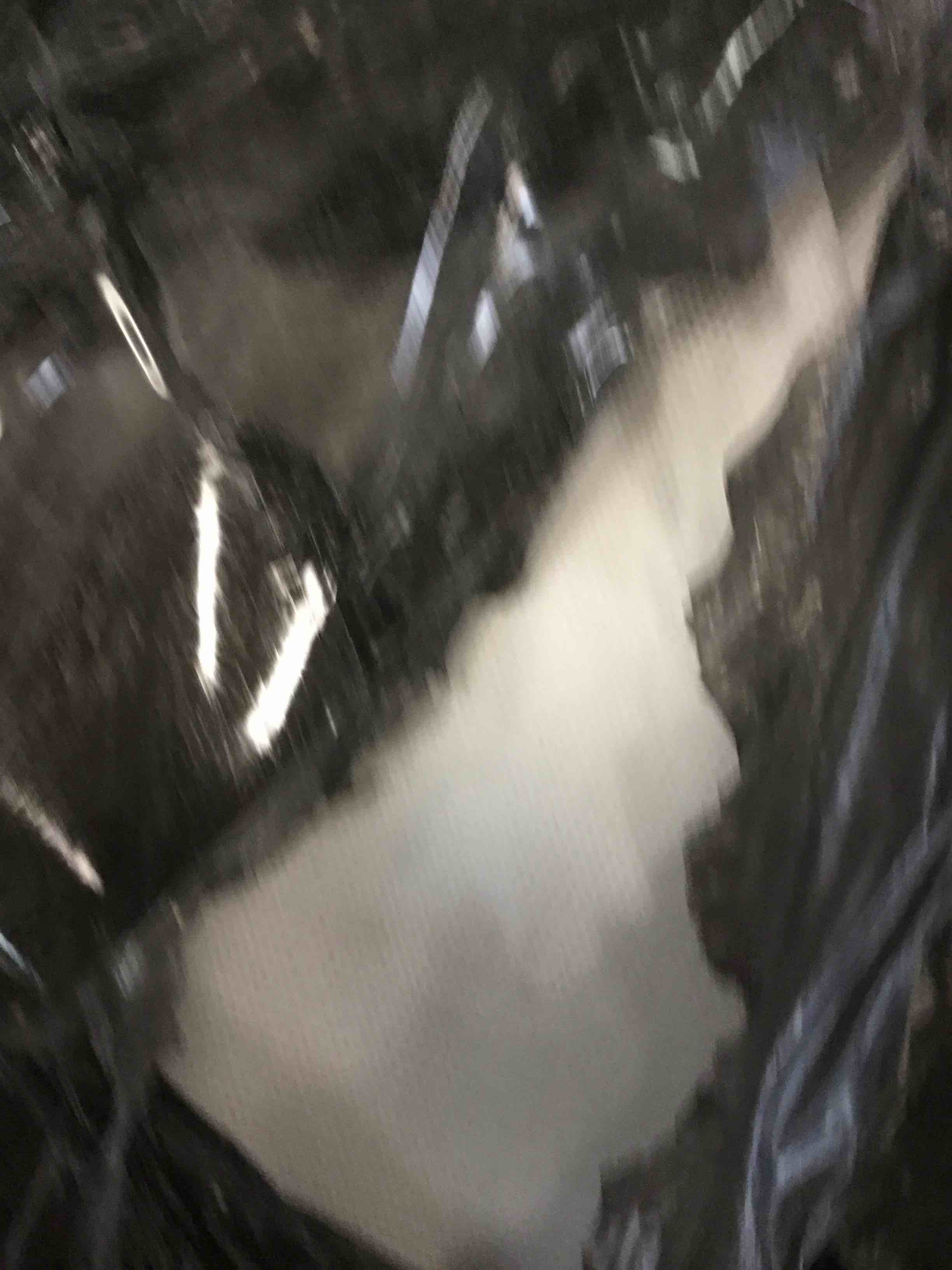 https://s3.amazonaws.com/lotting-images-prod/bidfta/BRN3440658_1750531805768.jpeg