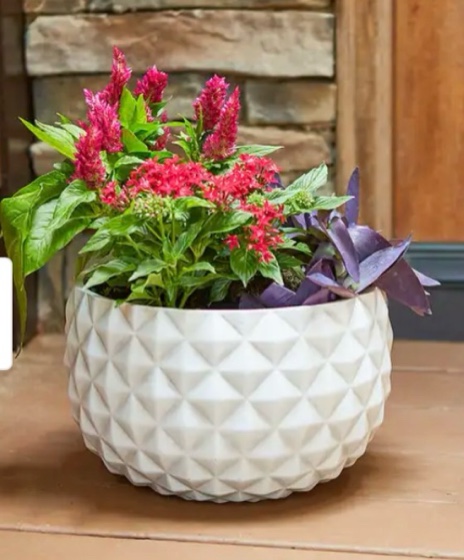 Southern Patio Pineapple White Ceramix 12-inch Bowl Planter