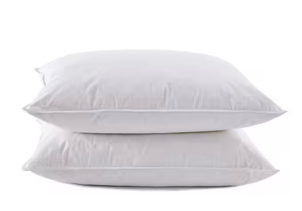 Puredown Goose Down Queen Pillow (Set of 2) by Pure Down