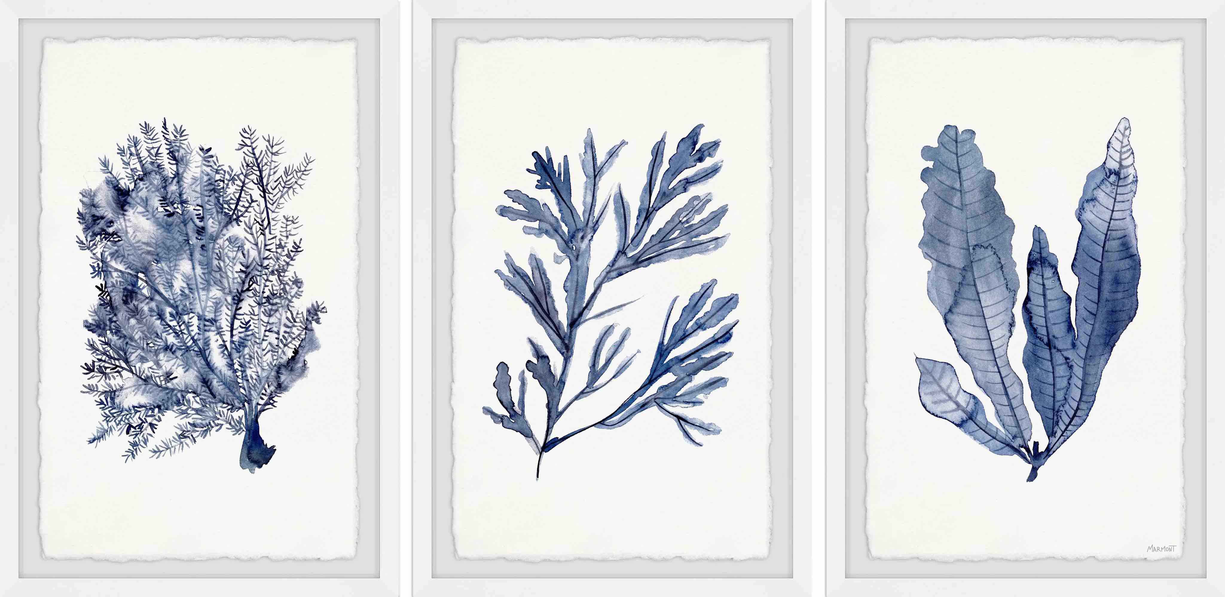 Seaweed Under Water V Triptych Framed Painting Art Print, by Marmot Hill