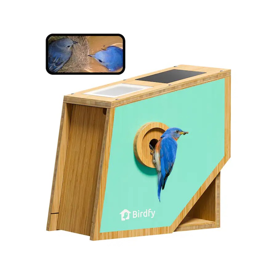 BIRDFY - Smart Bird House with Camera, Solar Powered 1080P FHD Live Stream, Wild Bird Nesting & Hatching - Blue/Wooden