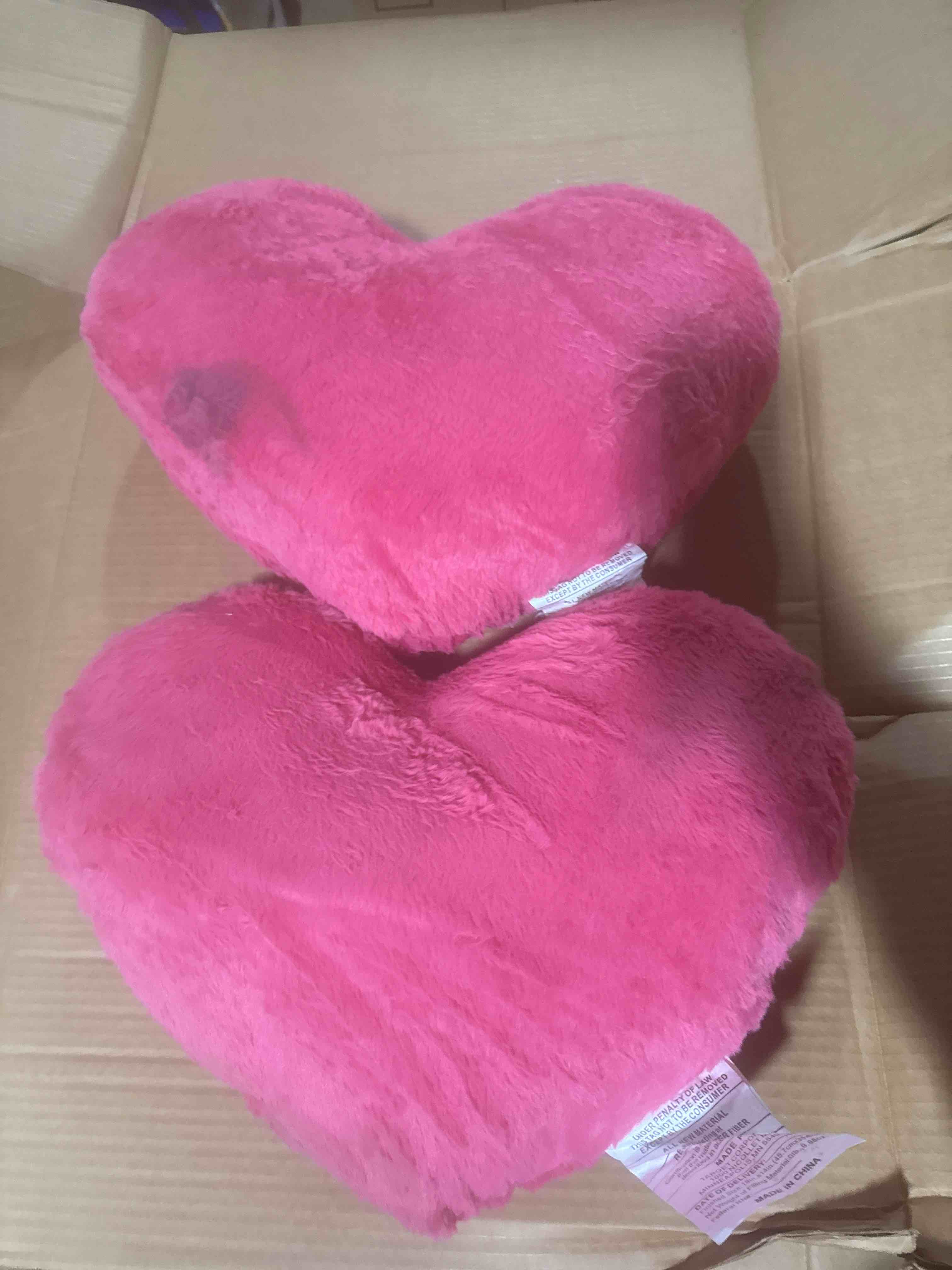 assorted throw pillows (2 pieces)