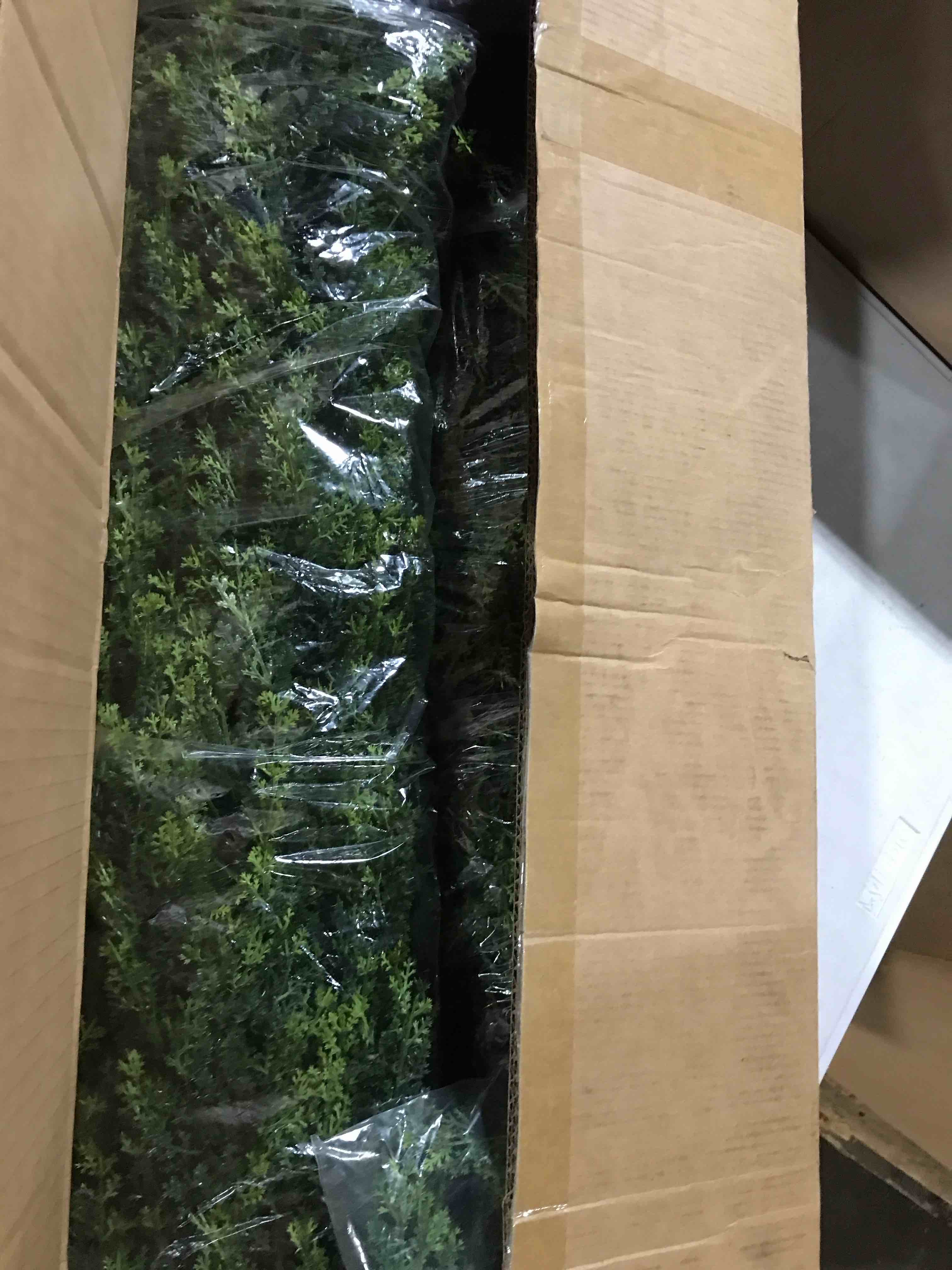 https://s3.amazonaws.com/lotting-images-prod/bidfta/BRN3569625_1750876947636.jpeg