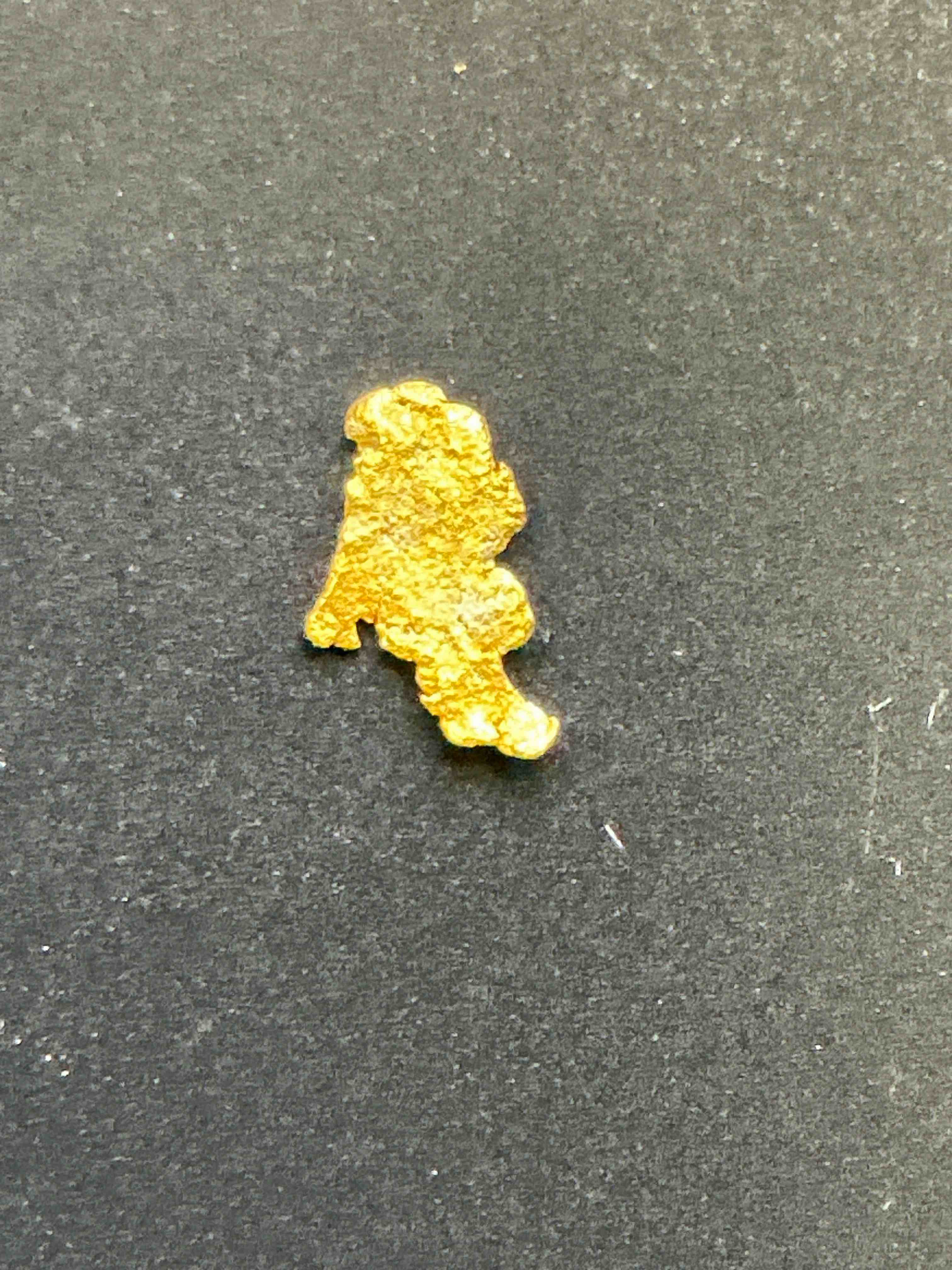 Collector’s Dream! Pokémon, Sports Cards, Gemstones, Coins!