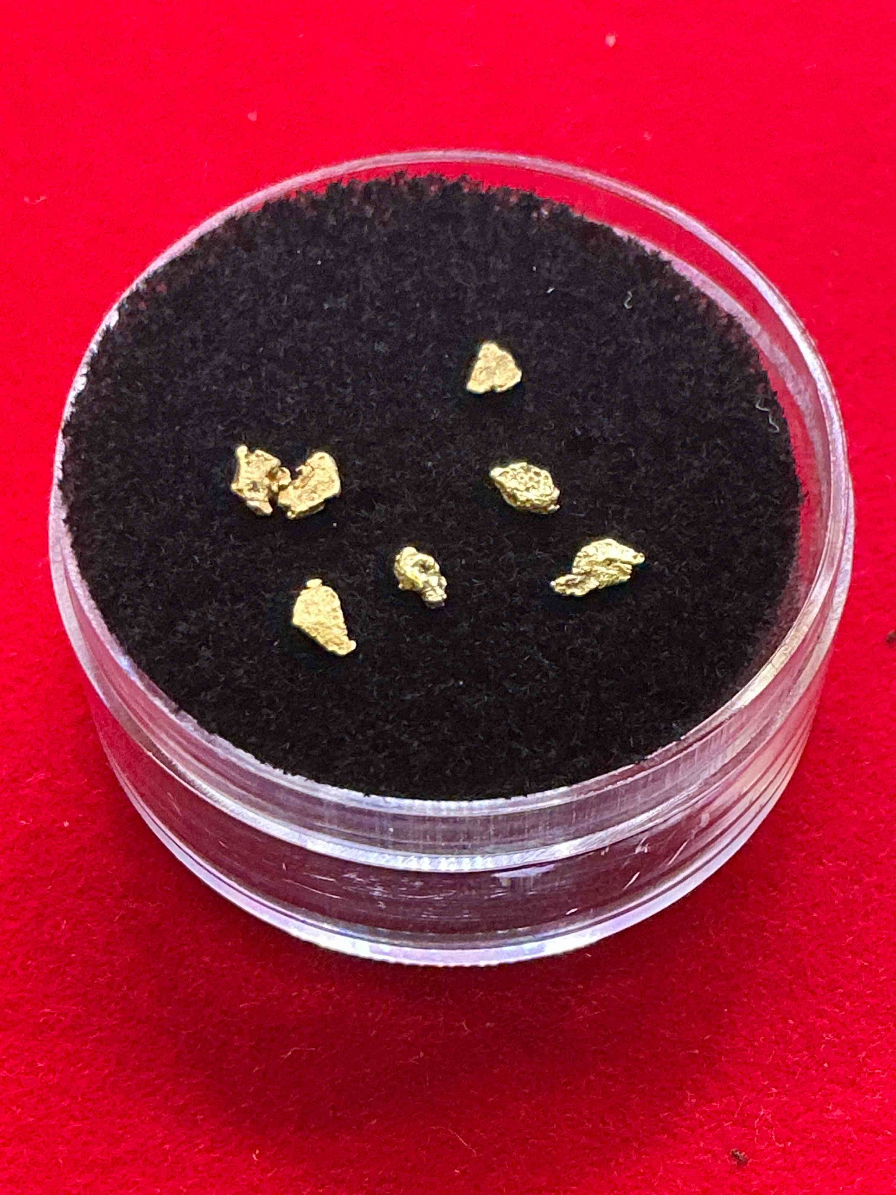 Collector’s Dream! Pokémon, Sports Cards, Gold & More!